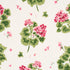 Geranium fabric in pinks color - pattern number TL400022 - by Schumacher in the Tillett collection