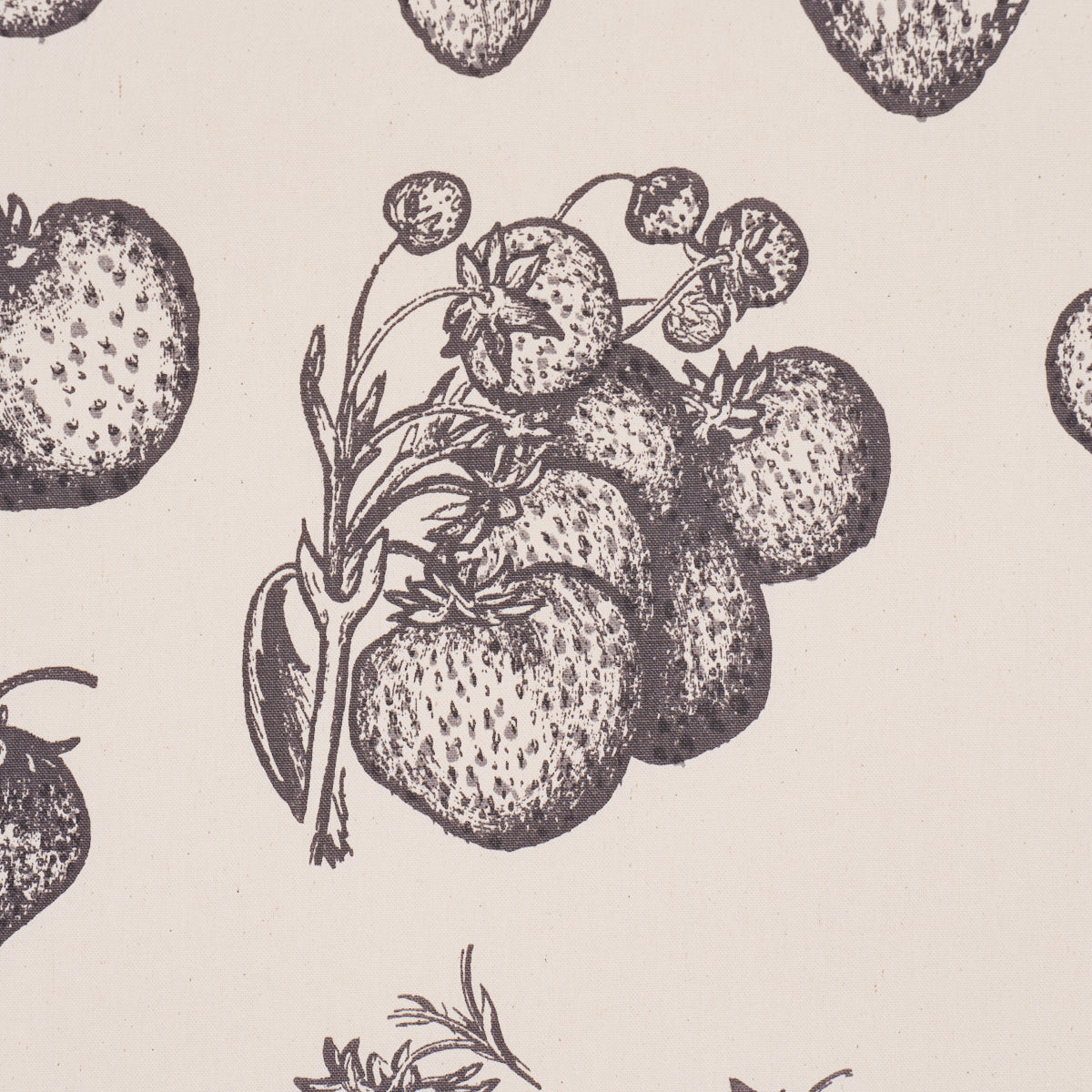 Strawberry Fields fabric in graphite color - pattern number TL400080 - by Schumacher in the Tillett collection