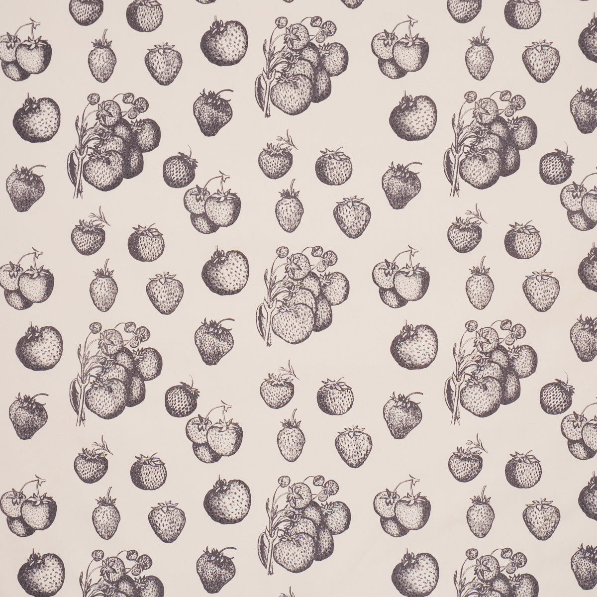 Strawberry Fields fabric in graphite color - pattern number TL400080 - by Schumacher in the Tillett collection