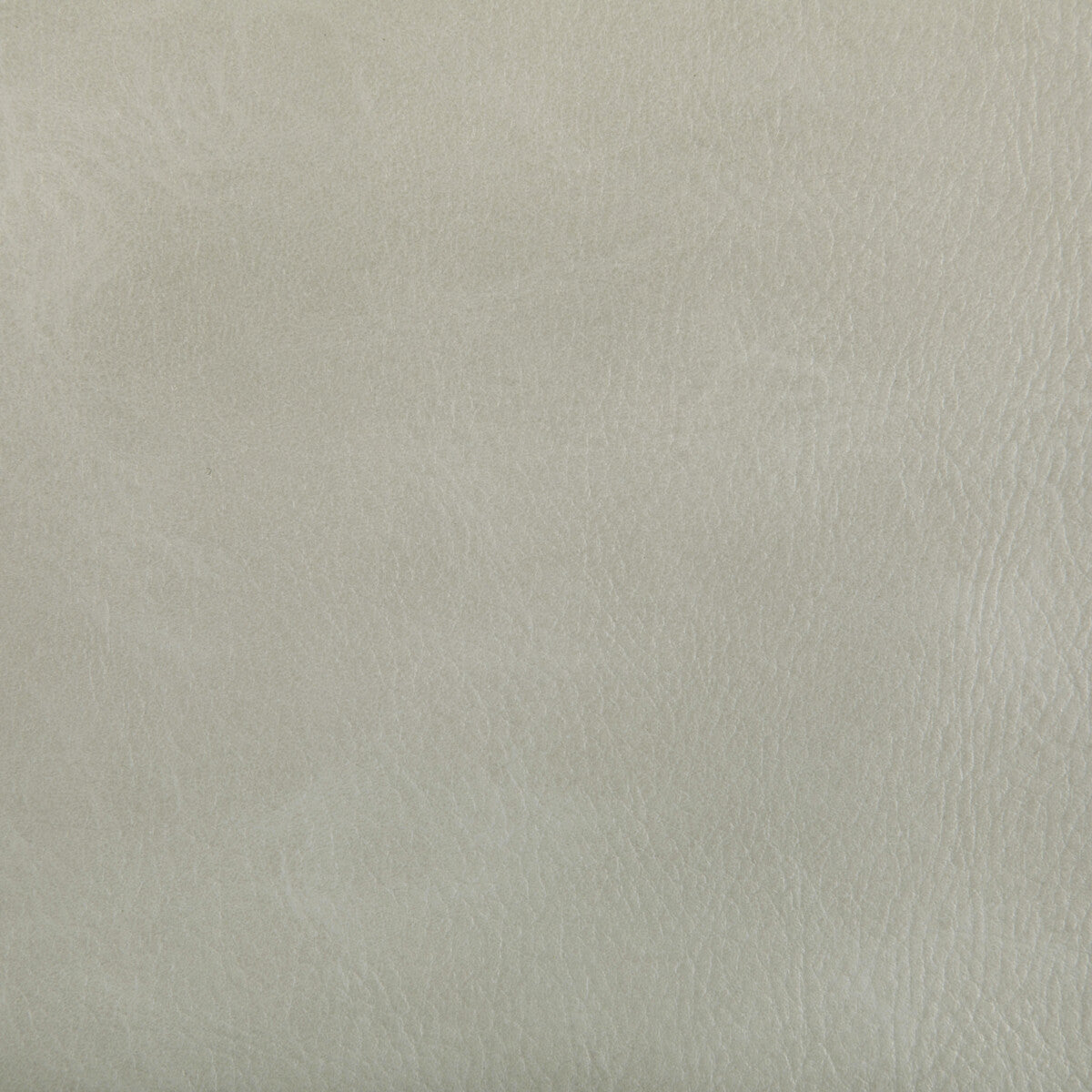 Toni fabric in limestone color - pattern TONI.101.0 - by Kravet Contract