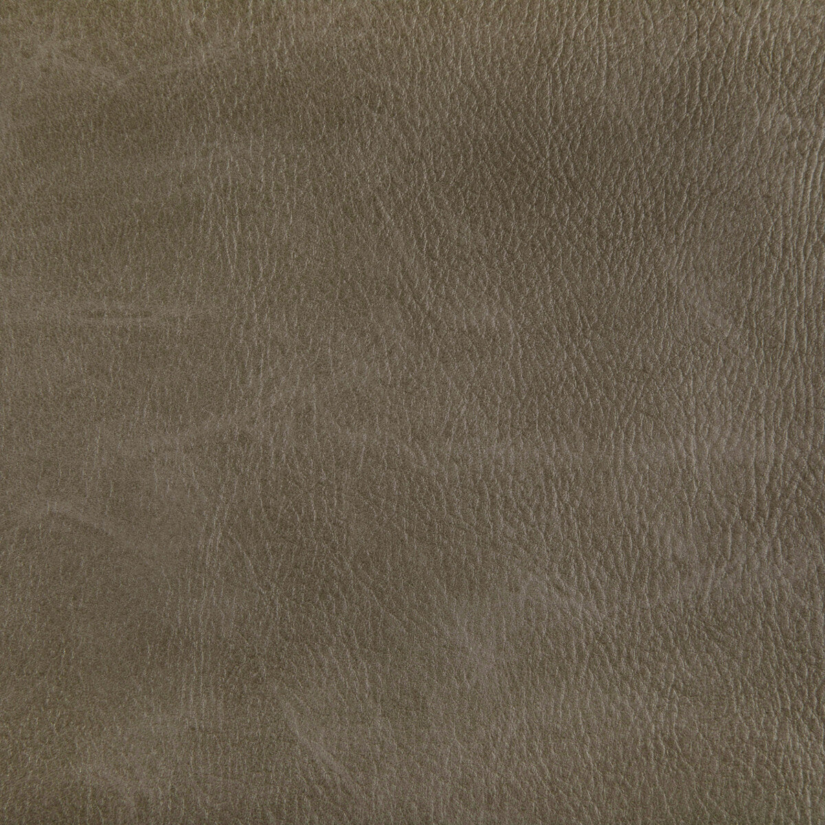 Toni fabric in field color - pattern TONI.6.0 - by Kravet Contract