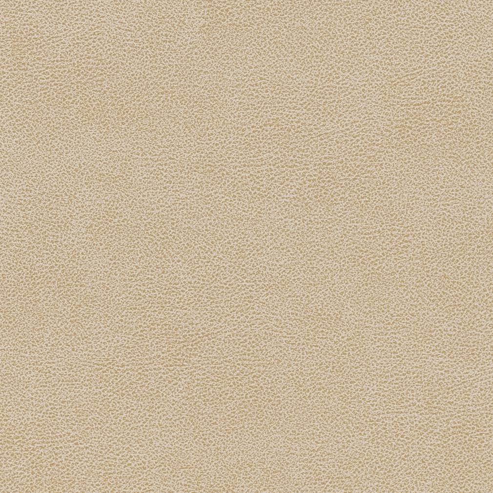 Performance Vinyl Look fabric in sand dollar color - pattern number V502 - by Charlotte in the Breathables IV collection