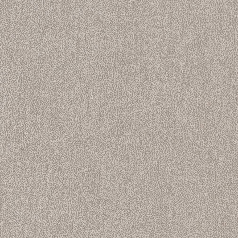 Performance Vinyl Look fabric in platinum color - pattern number V503 - by Charlotte in the Breathables IV collection