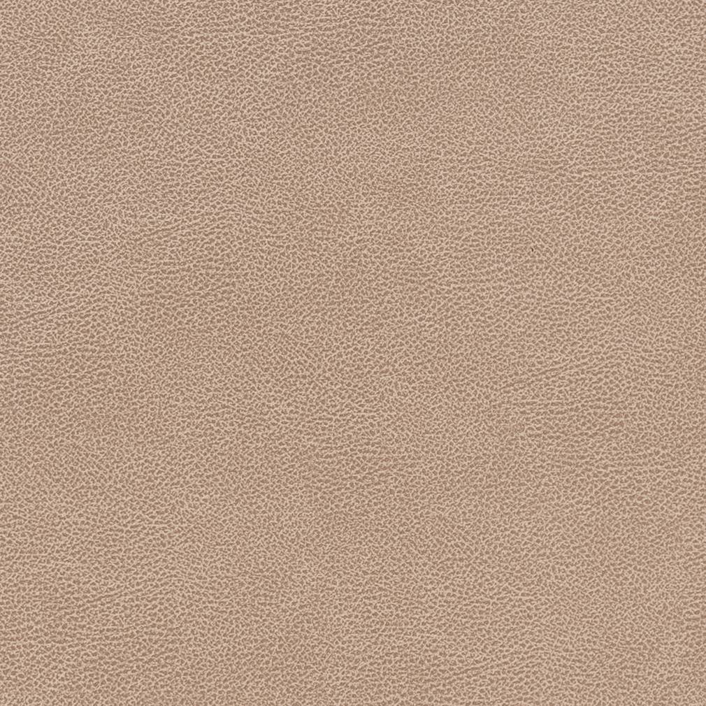 Performance Vinyl Look fabric in cashew color - pattern number V505 - by Charlotte in the Breathables IV collection