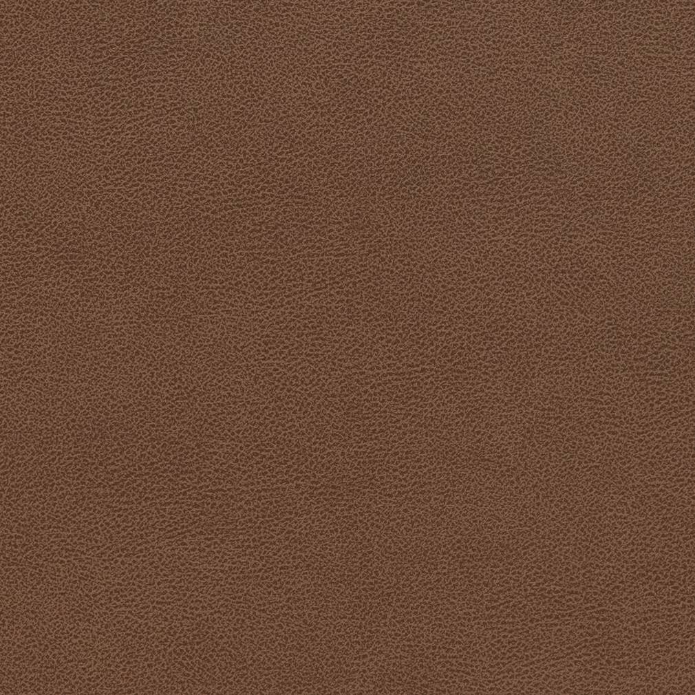 Performance Vinyl Look fabric in pecan color - pattern number V509 - by Charlotte in the Breathables IV collection