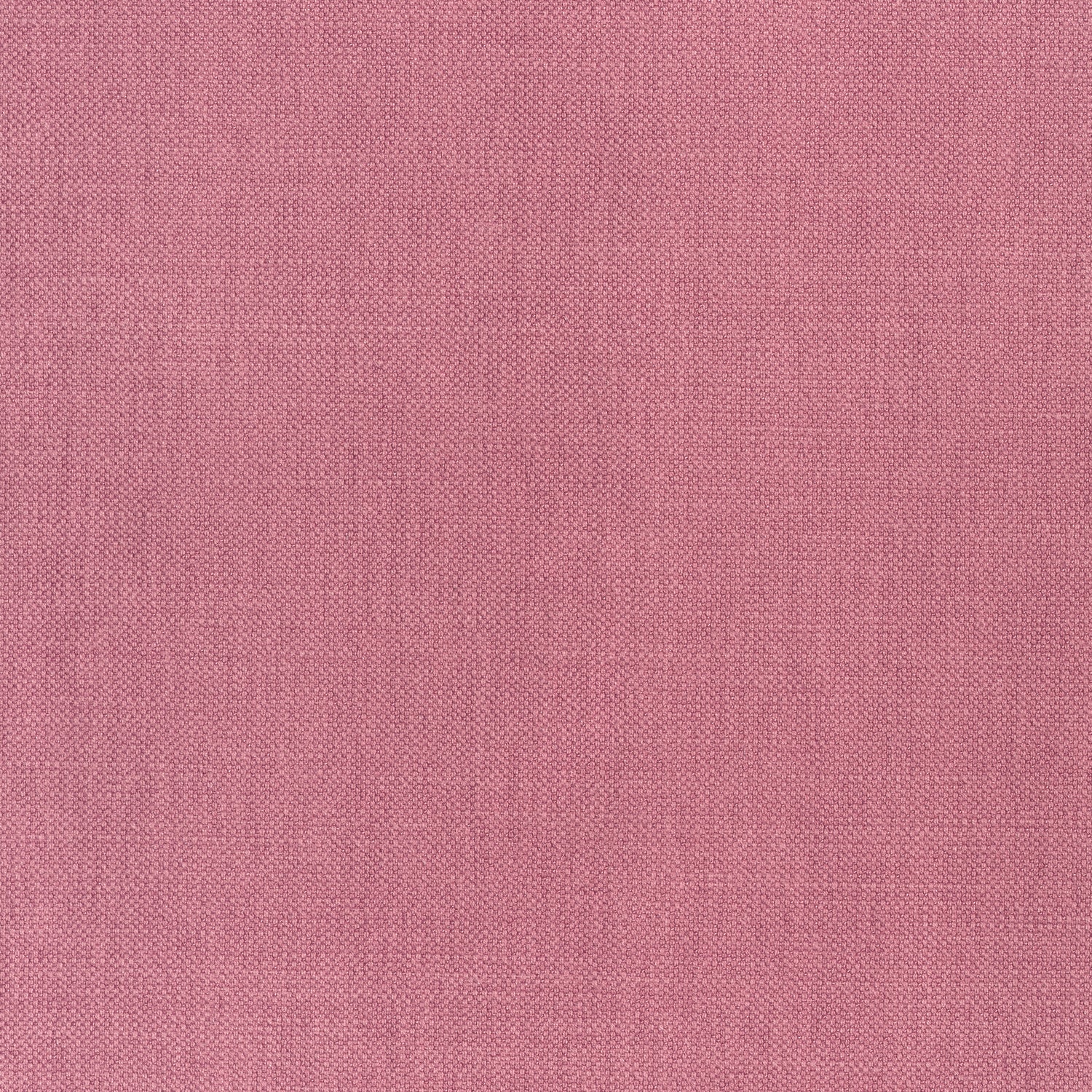 Prisma fabric in peony color - pattern number W70132 - by Thibaut in the Woven Resource Vol 12 Prisma Fabrics collection