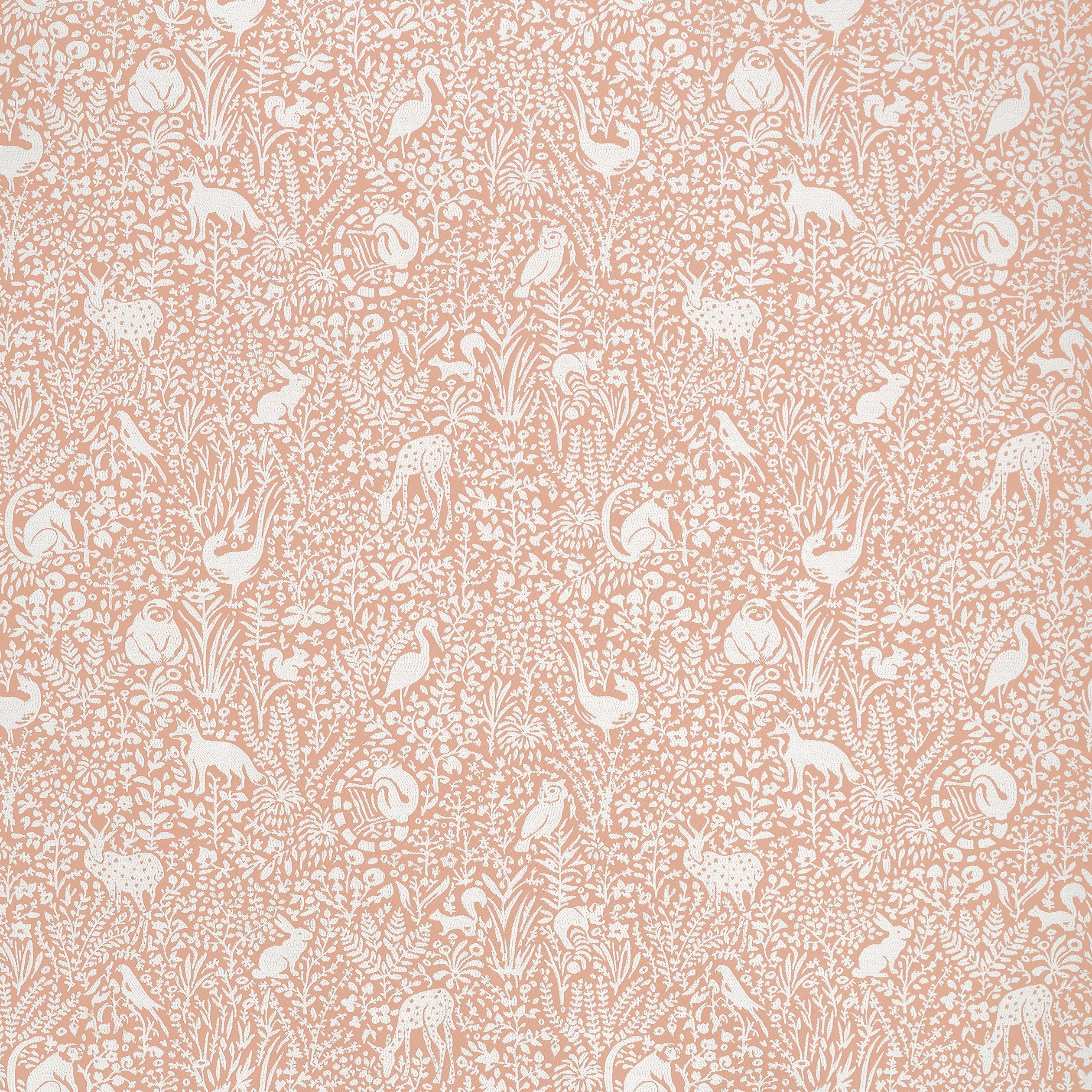 Kindred fabric in apricot color - pattern number W711110 - by Thibaut in the Acadia collection