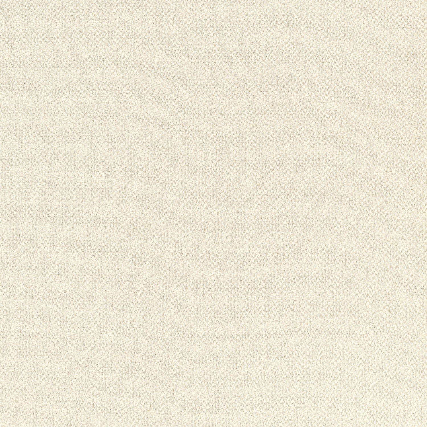 Bizette fabric in almond color - pattern number W711200 - by Thibaut in the Signature Textures collection