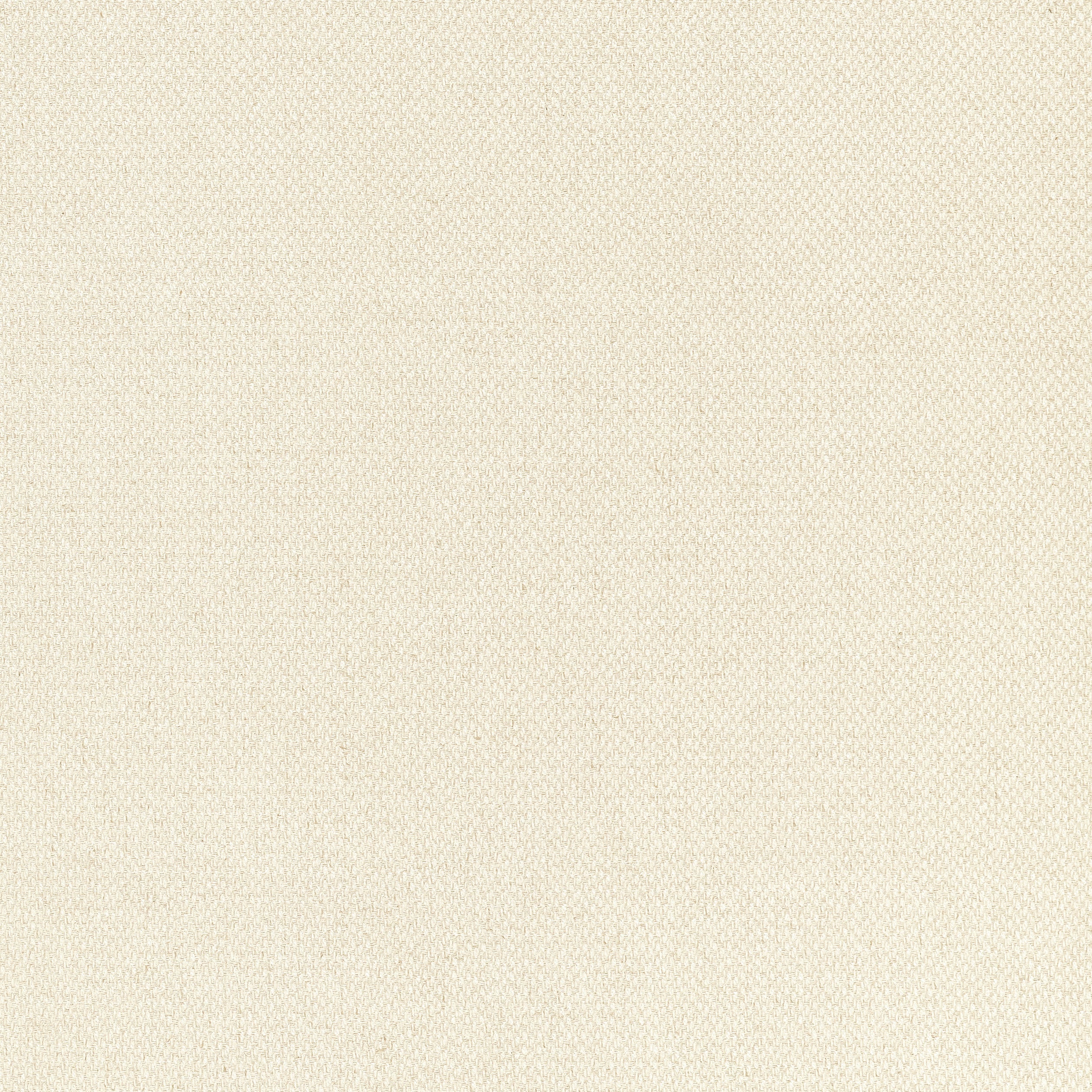 Bizette fabric in almond color - pattern number W711200 - by Thibaut in the Signature Textures collection