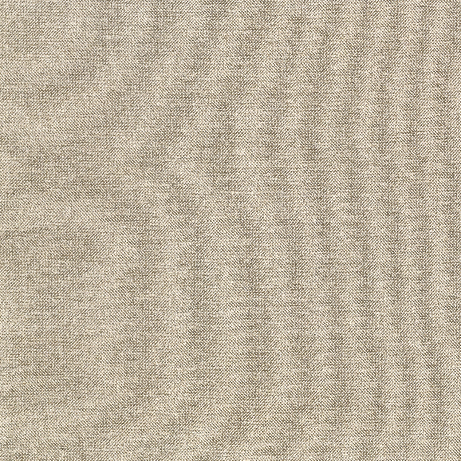 Picco fabric in toffee color - pattern number W711205 - by Thibaut in the Signature Textures collection