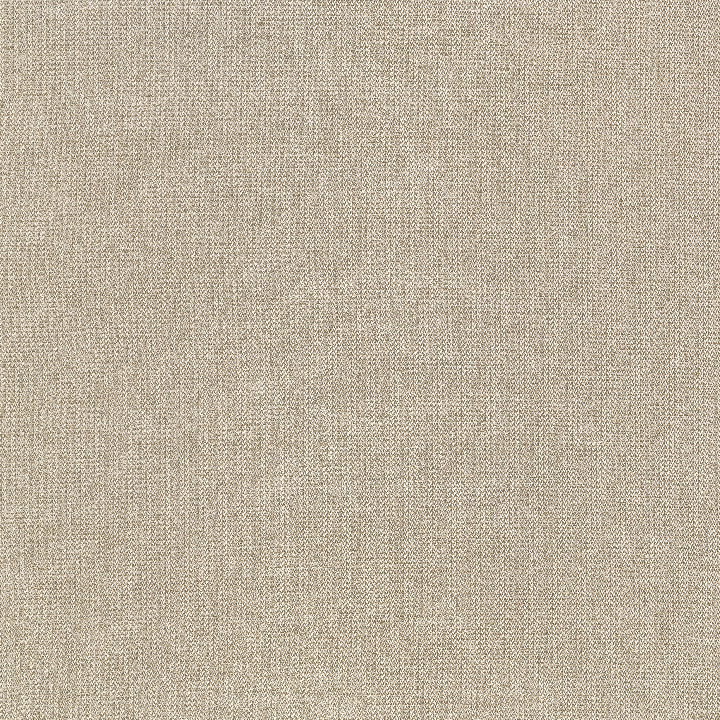 Picco fabric in toffee color - pattern number W711205 - by Thibaut in the Signature Textures collection