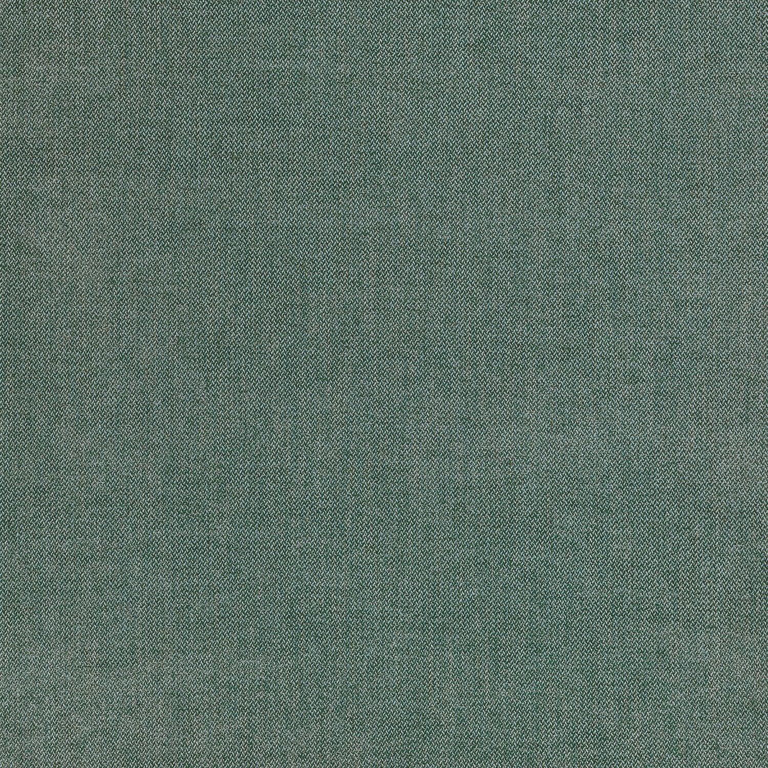 Picco fabric in spruce color - pattern number W711206 - by Thibaut in the Signature Textures collection
