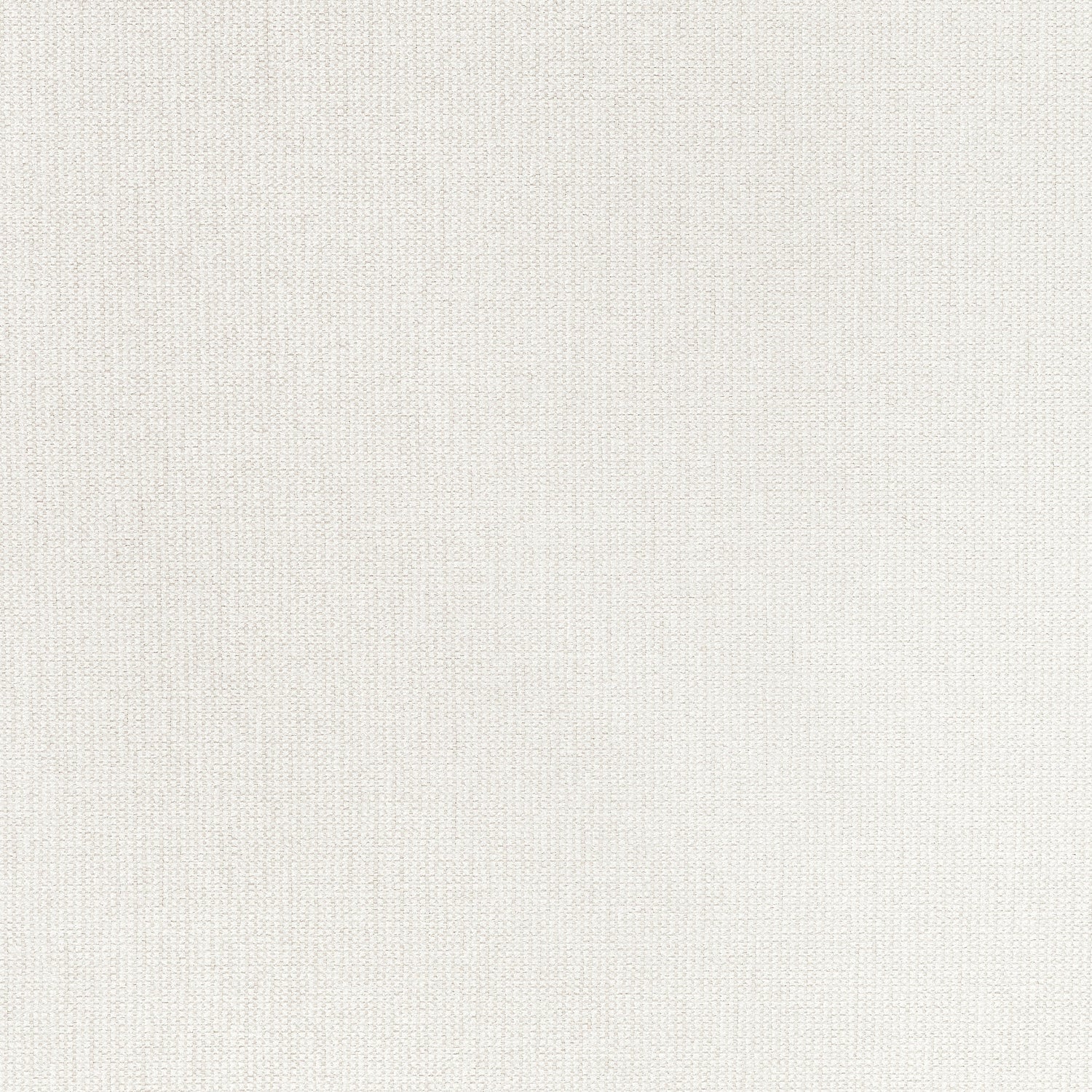 Cadie fabric in ivory color - pattern number W711220 - by Thibaut in the Signature Textures collection