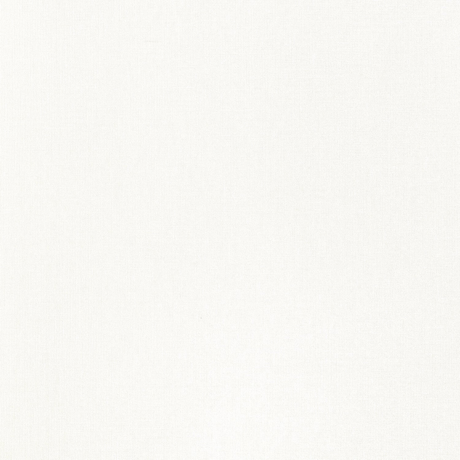 Barrett fabric in snow white color - pattern number W711228 - by Thibaut in the Signature Textures collection