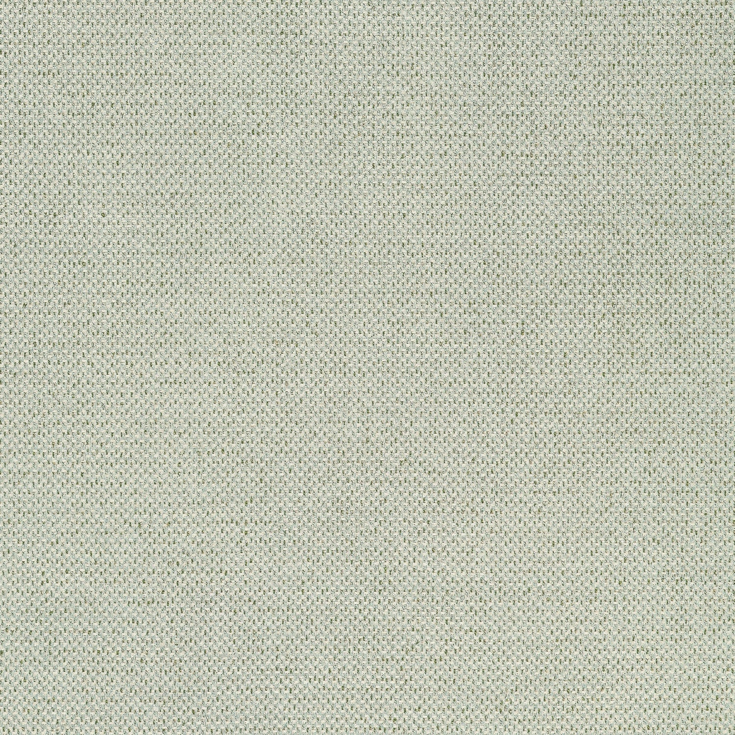 Bizette fabric in moss color - pattern number W711244 - by Thibaut in the Signature Textures collection