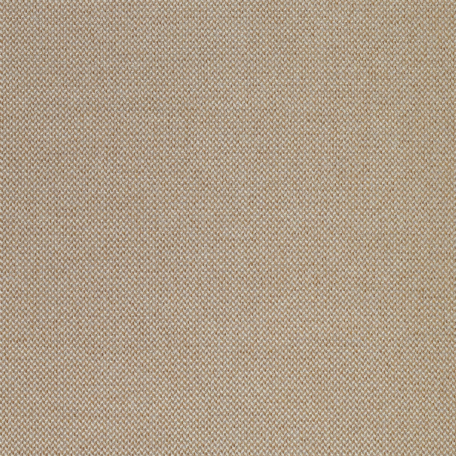 Bizette fabric in bark color - pattern number W711245 - by Thibaut in the Signature Textures collection