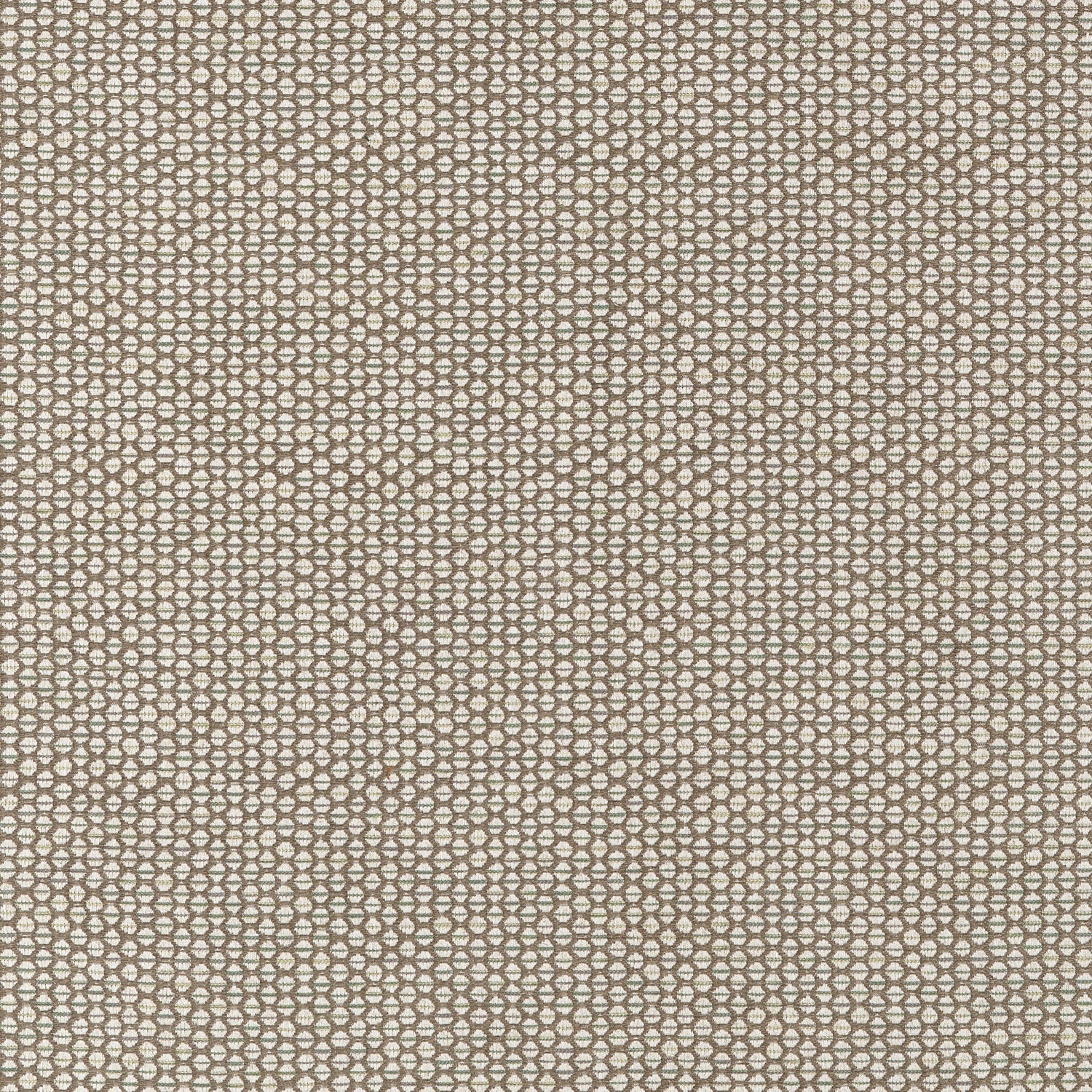 Endicott fabric in fawn color - pattern number W711306 - by Thibaut in the Savile collection