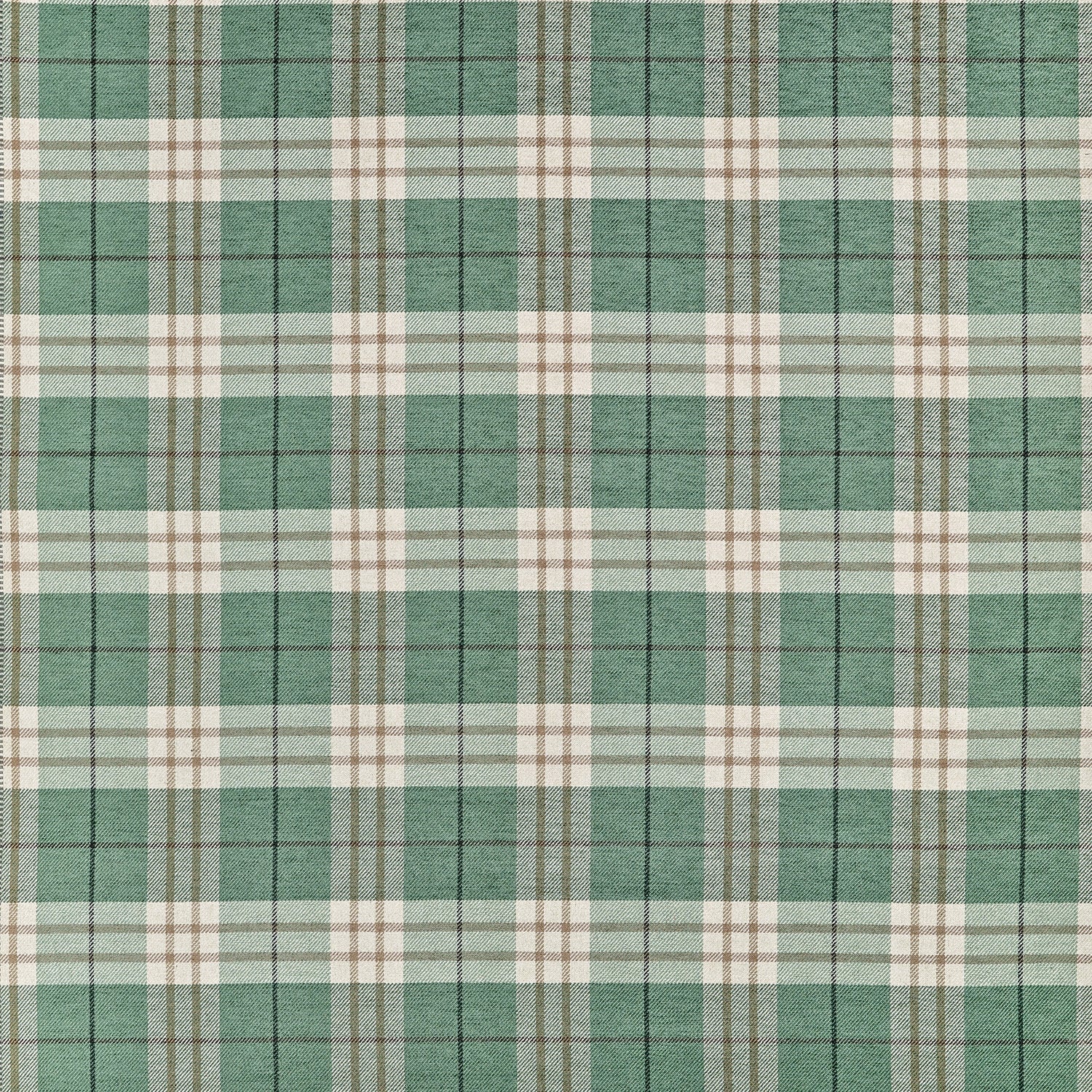 Percival Plaid fabric in pine color - pattern number W711328 - by Thibaut in the Savile collection