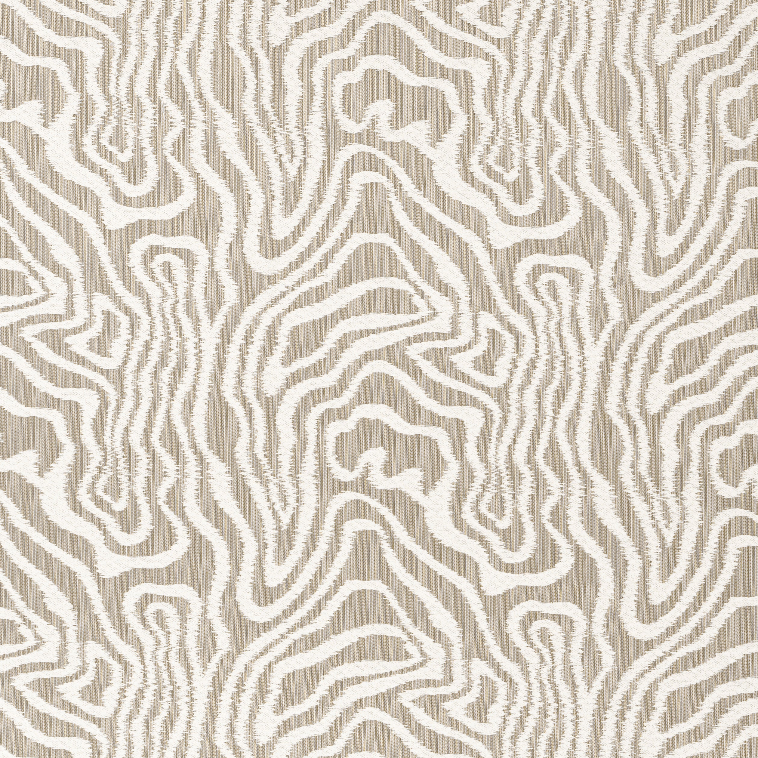 Alessandro fabric in taupe - pattern number W713612 - by Thibaut in the Grand Palace collection
