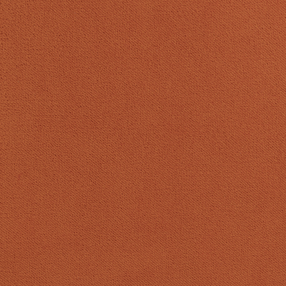 Club Velvet fabric in terra cotta color - pattern number W7203 - by Thibaut in the Club Velvet collection