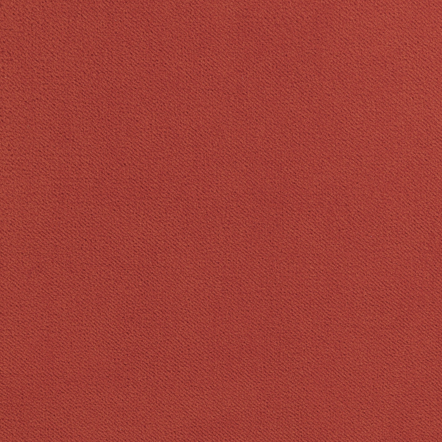 Club Velvet fabric in coral color - pattern number W7204 - by Thibaut in the Club Velvet collection