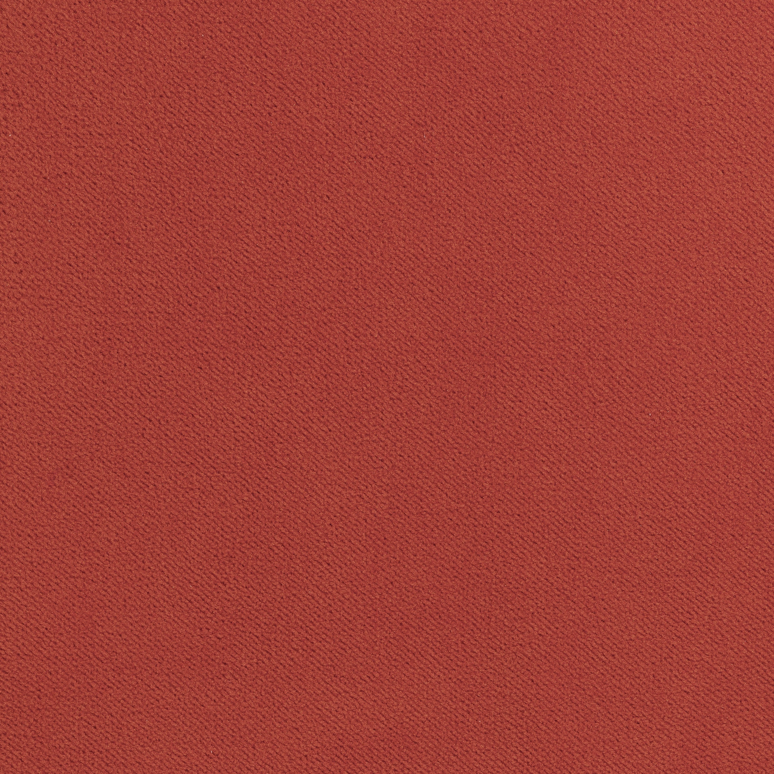 Club Velvet fabric in coral color - pattern number W7204 - by Thibaut in the Club Velvet collection