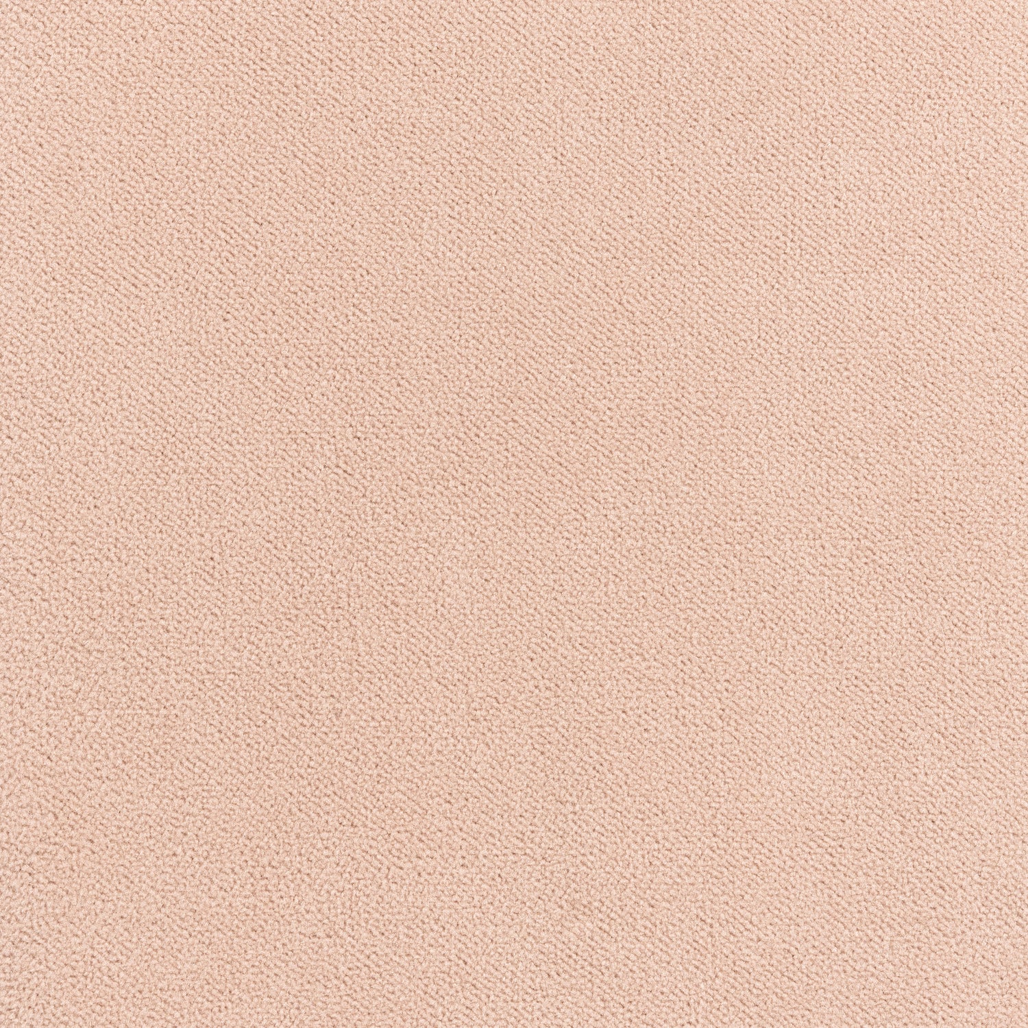 Club Velvet fabric in blush color - pattern number W7205 - by Thibaut in the Club Velvet collection