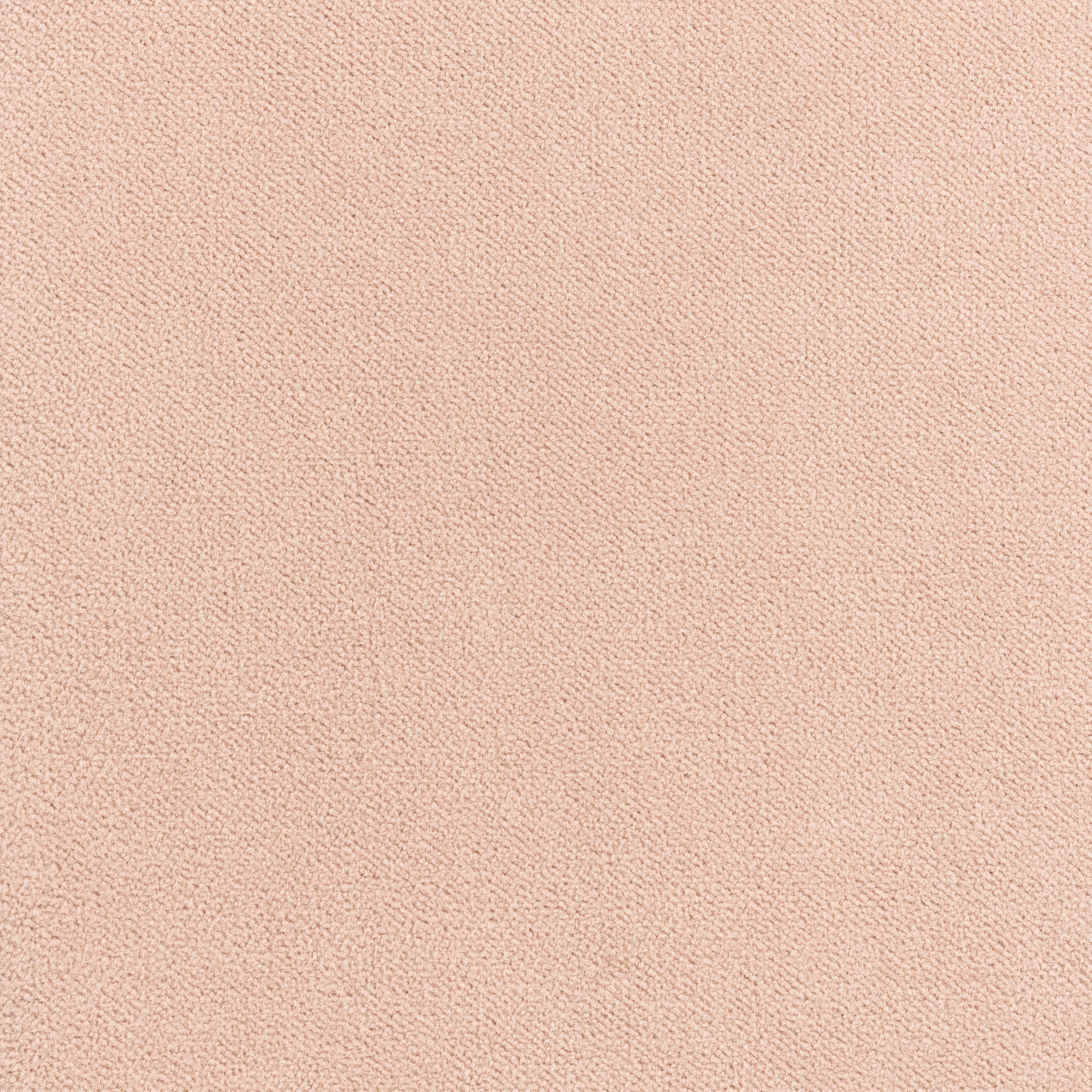 Club Velvet fabric in blush color - pattern number W7205 - by Thibaut in the Club Velvet collection