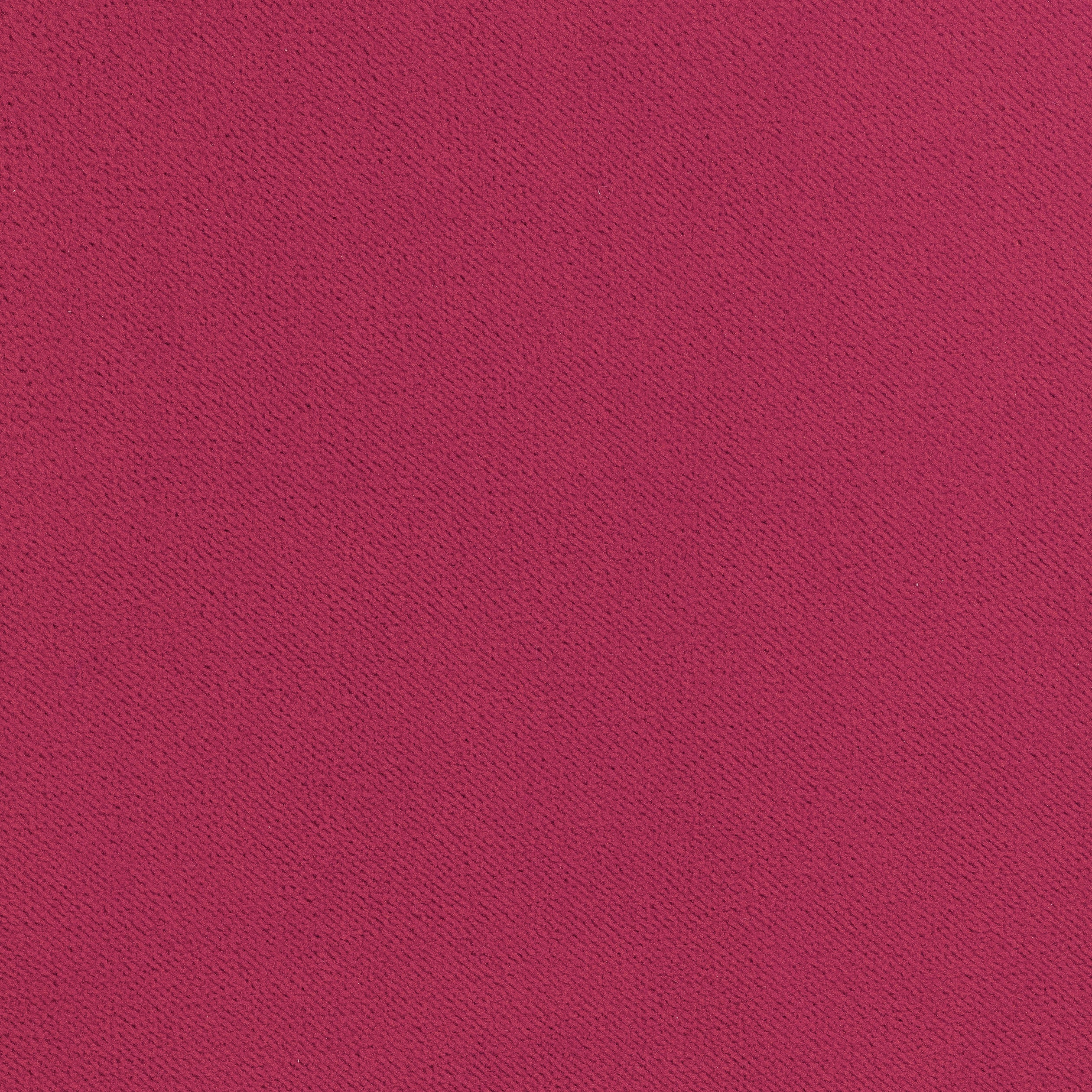 Club Velvet fabric in peony color - pattern number W7207 - by Thibaut in the Club Velvet collection