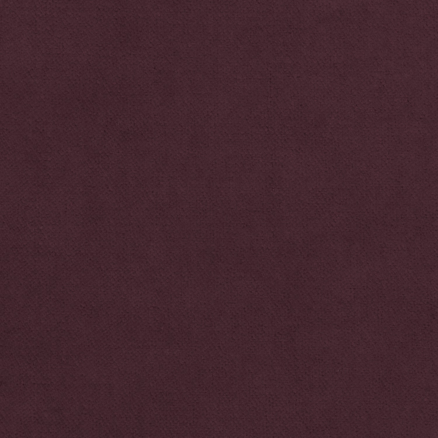 Club Velvet fabric in aubergine color - pattern number W7211 - by Thibaut in the Club Velvet collection