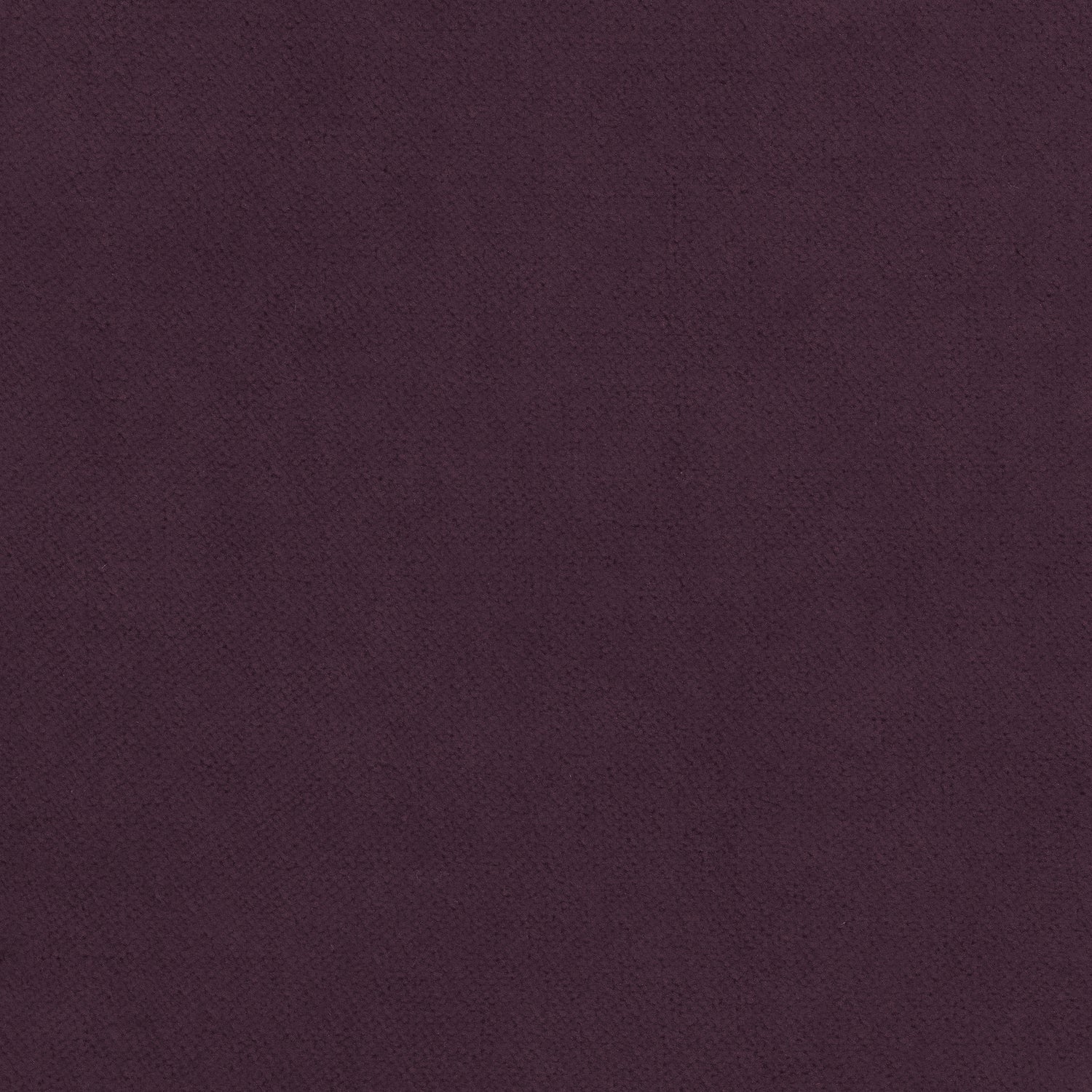 Club Velvet fabric in amethyst color - pattern number W7212 - by Thibaut in the Club Velvet collection