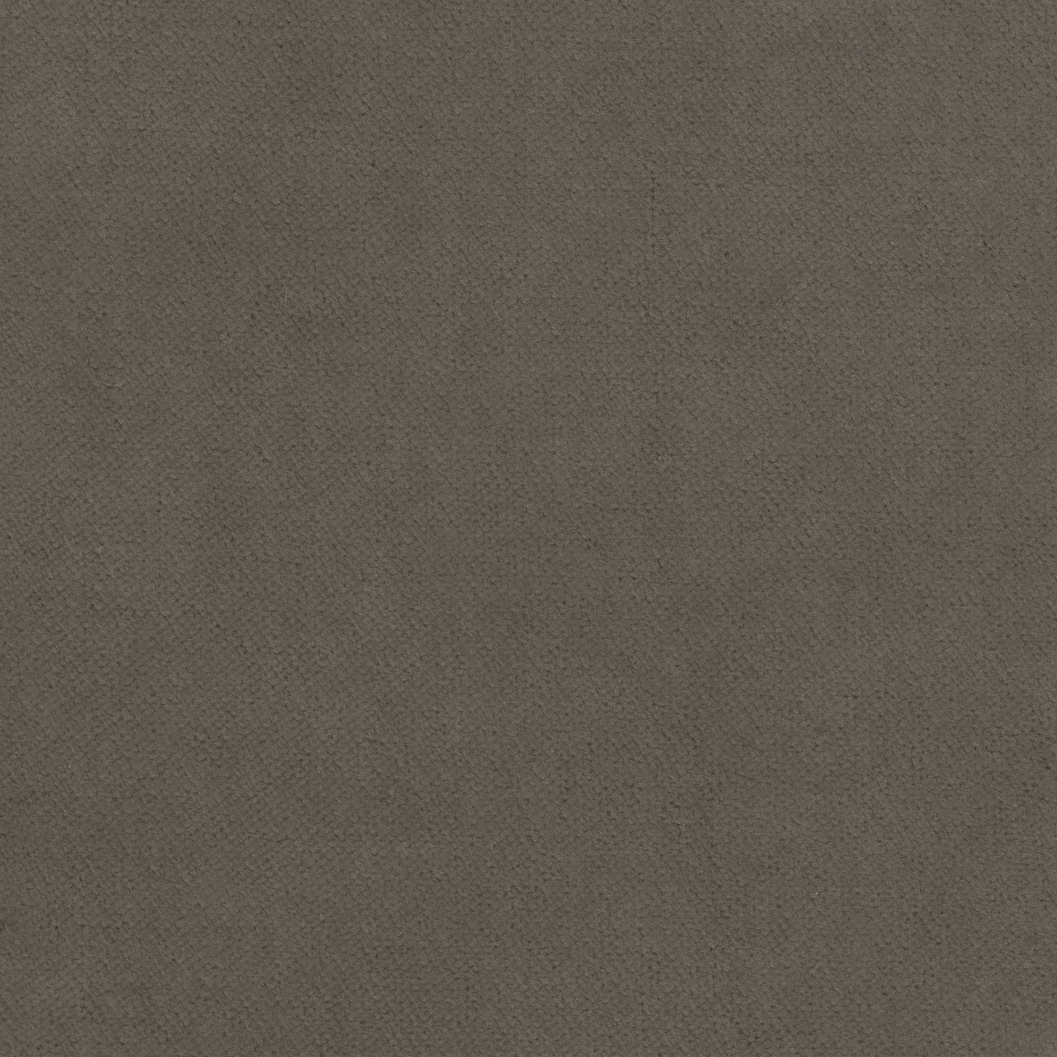 Club Velvet fabric in flannel color - pattern number W7220 - by Thibaut in the Club Velvet collection