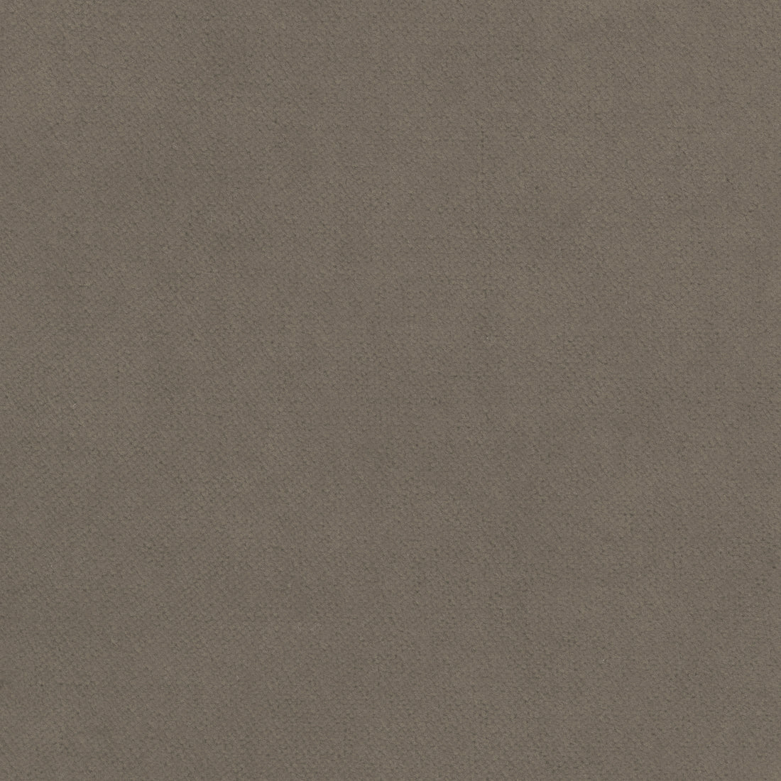 Club Velvet fabric in smoke color - pattern number W7221 - by Thibaut in the Club Velvet collection