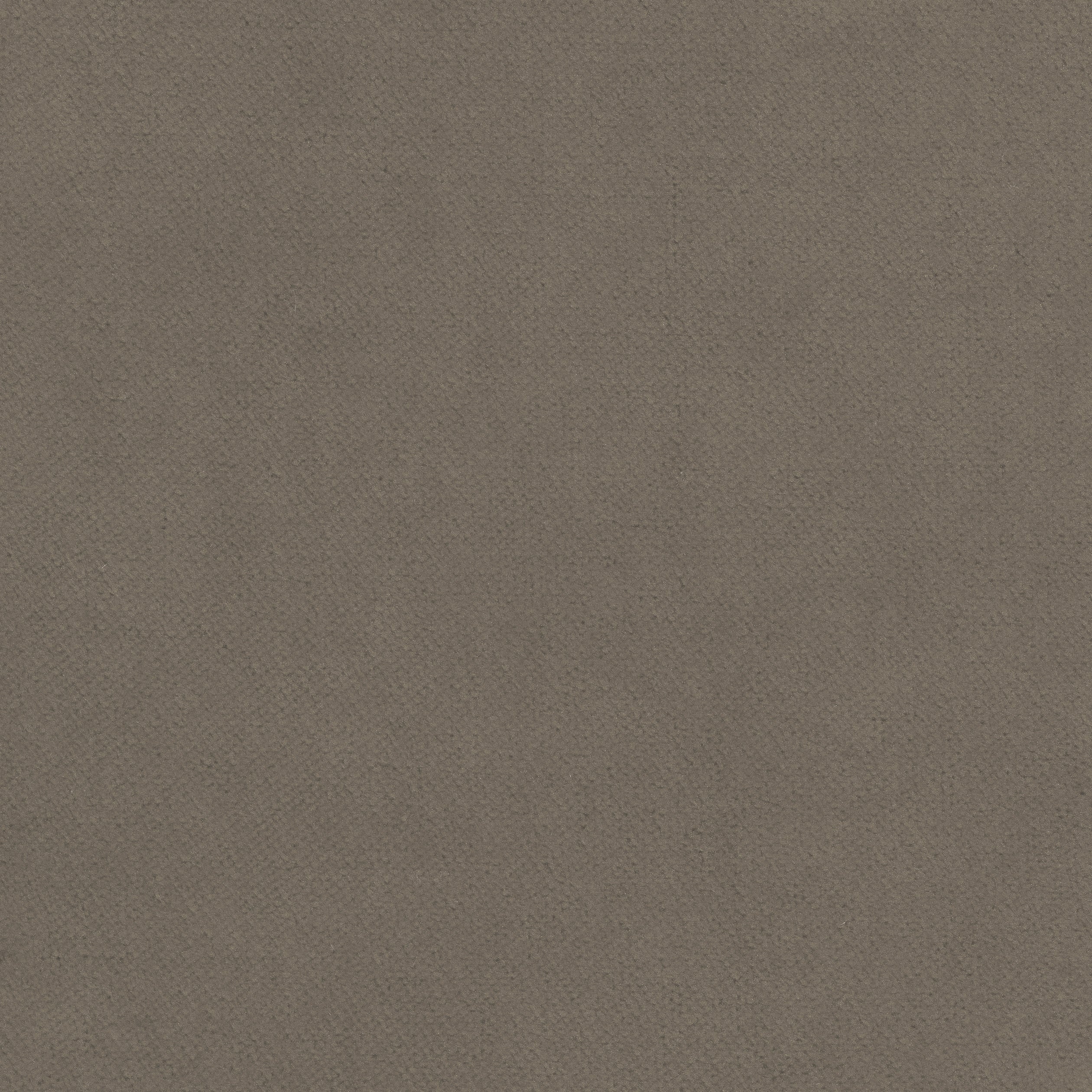 Club Velvet fabric in smoke color - pattern number W7221 - by Thibaut in the Club Velvet collection