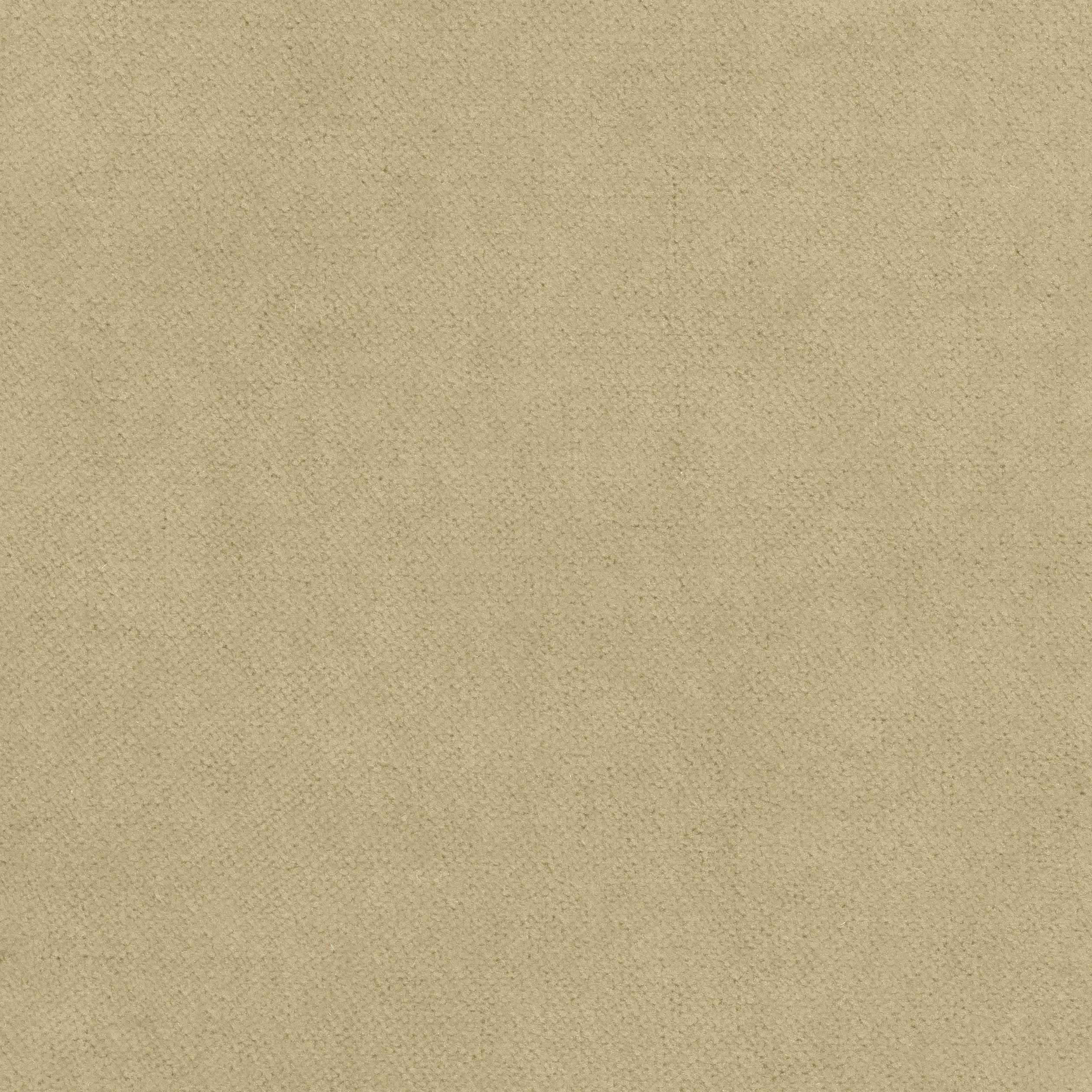 Club Velvet fabric in fawn color - pattern number W7223 - by Thibaut in the Club Velvet collection