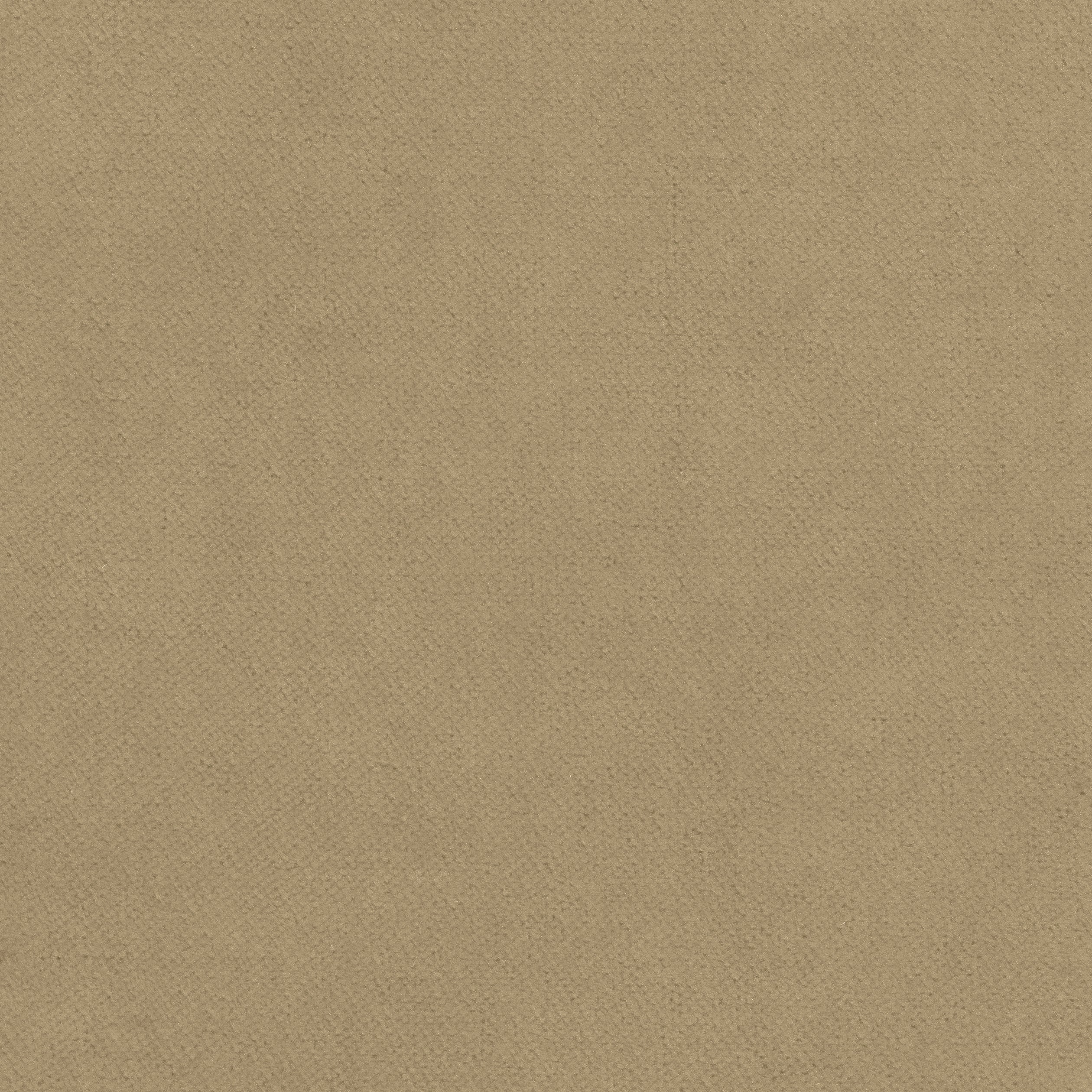 Club Velvet fabric in flax color - pattern number W7224 - by Thibaut in the Club Velvet collection