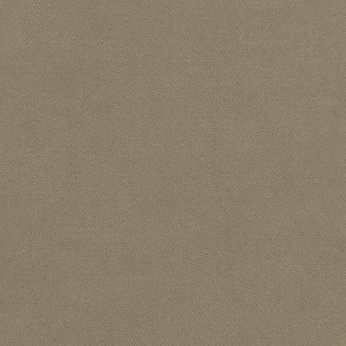 Club Velvet fabric in taupe color - pattern number W7225 - by Thibaut in the Club Velvet collection