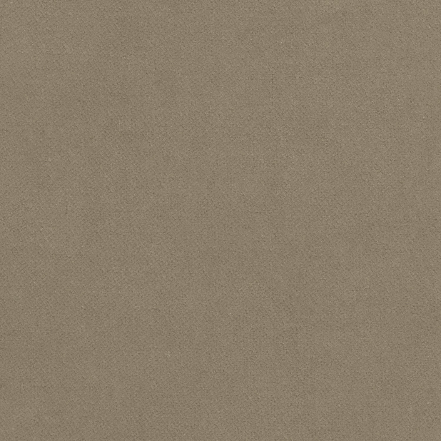 Club Velvet fabric in taupe color - pattern number W7225 - by Thibaut in the Club Velvet collection