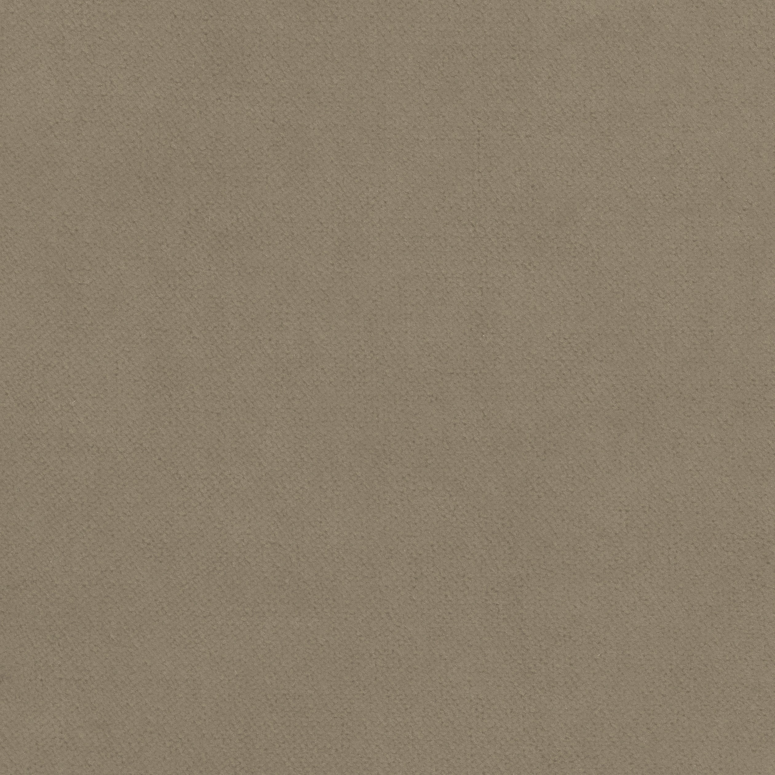 Club Velvet fabric in taupe color - pattern number W7225 - by Thibaut in the Club Velvet collection