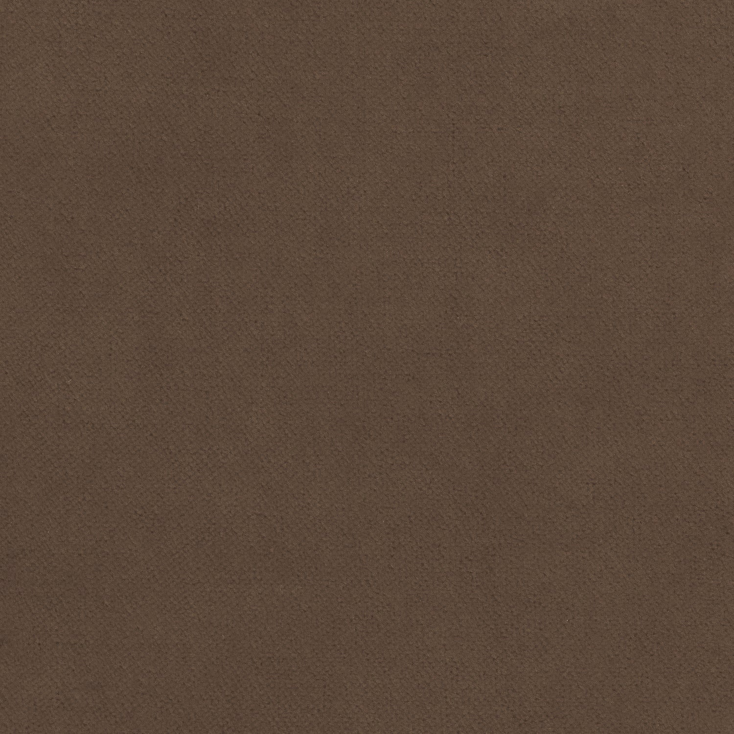 Club Velvet fabric in mink color - pattern number W7226 - by Thibaut in the Club Velvet collection