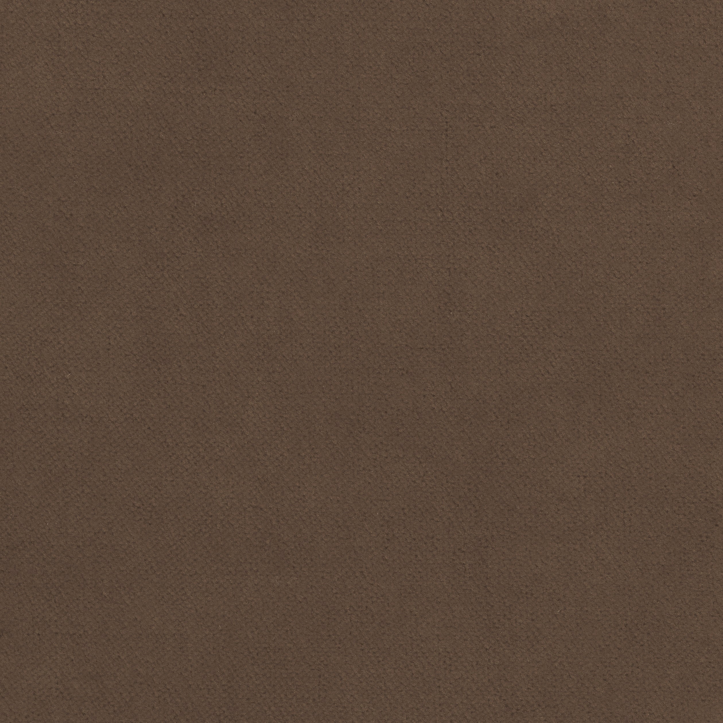 Club Velvet fabric in mink color - pattern number W7226 - by Thibaut in the Club Velvet collection