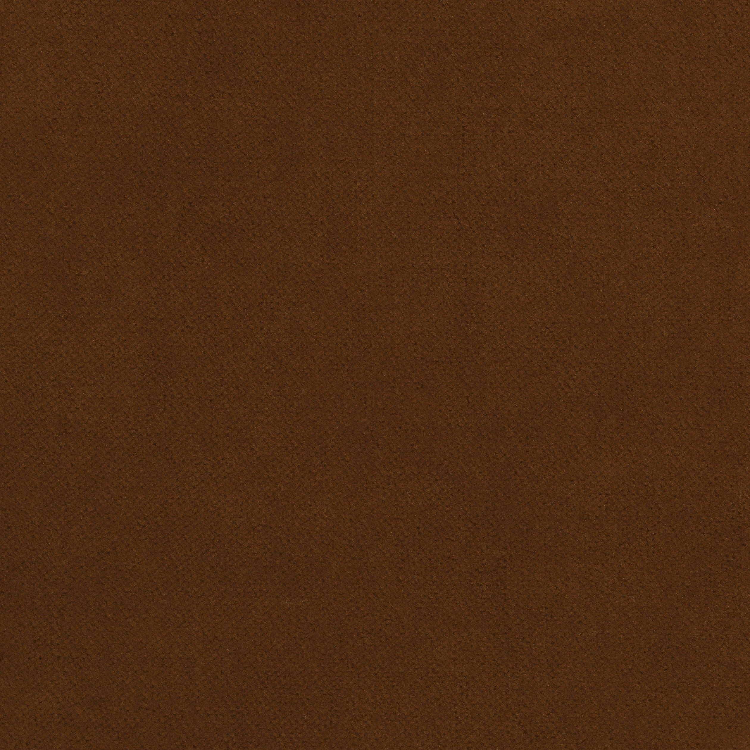 Club Velvet fabric in chestnut color - pattern number W7229 - by Thibaut in the Club Velvet collection