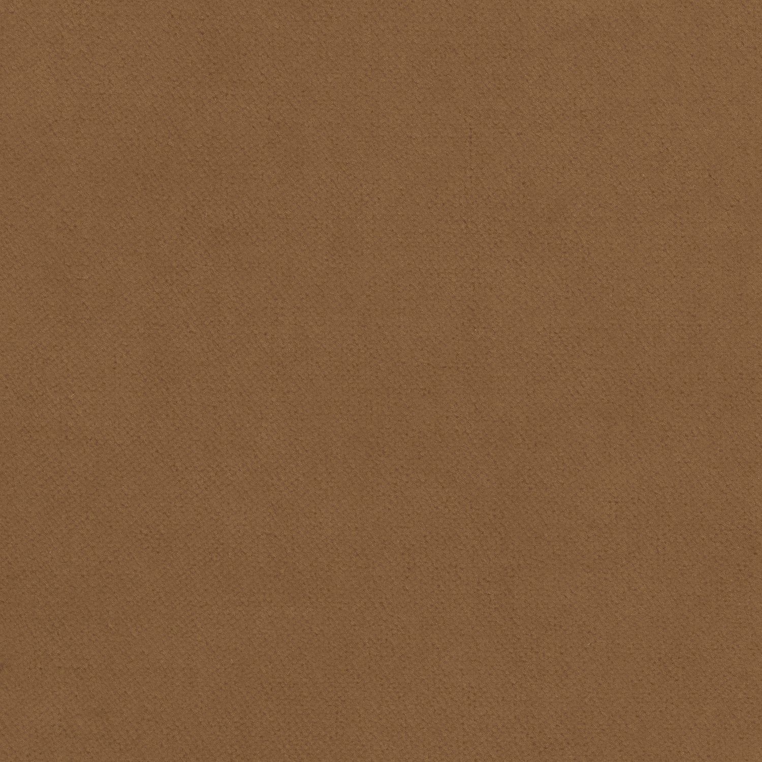 Club Velvet fabric in camel color - pattern number W7230 - by Thibaut in the Club Velvet collection