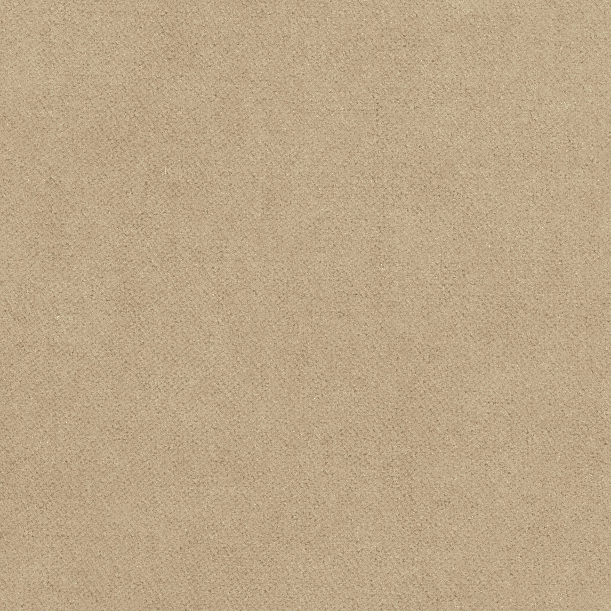 Club Velvet fabric in sand color - pattern number W7231 - by Thibaut in the Club Velvet collection