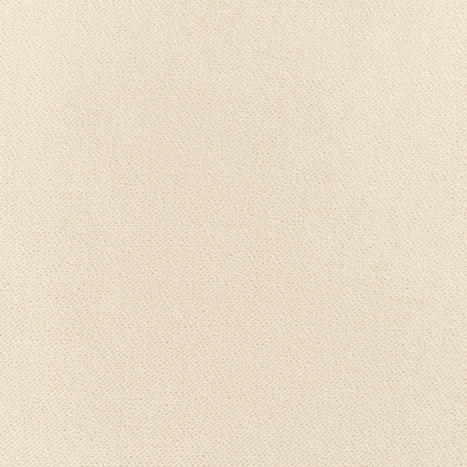 Club Velvet fabric in parchment color - pattern number W7232 - by Thibaut in the Club Velvet collection