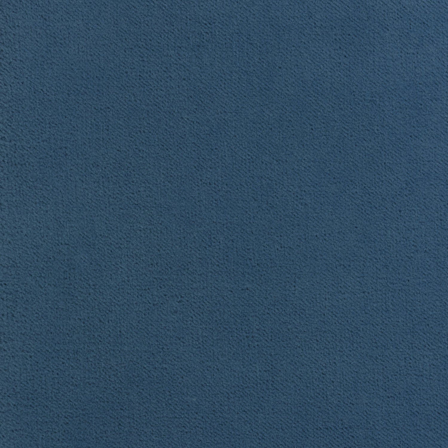 Club Velvet fabric in cornflower color - pattern number W7242 - by Thibaut in the Club Velvet collection