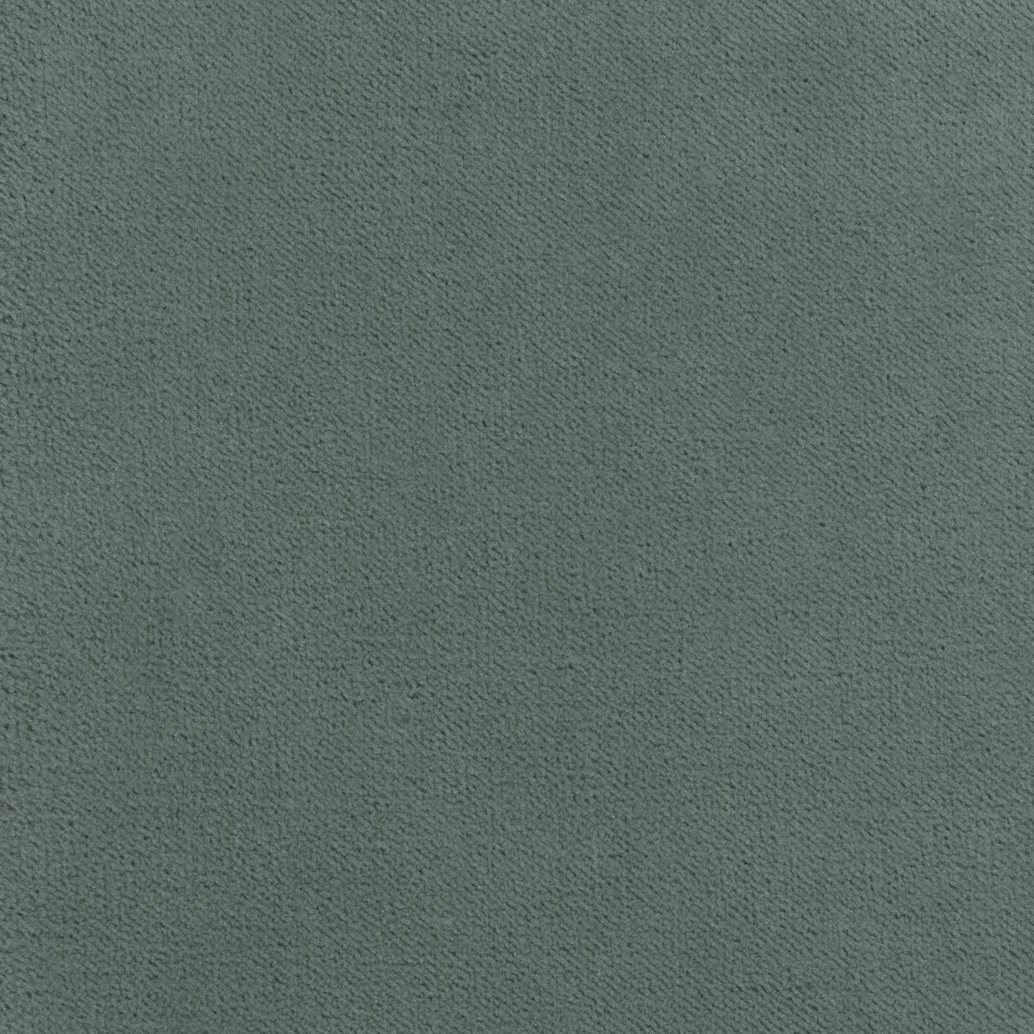 Club Velvet fabric in cloud color - pattern number W7246 - by Thibaut in the Club Velvet collection