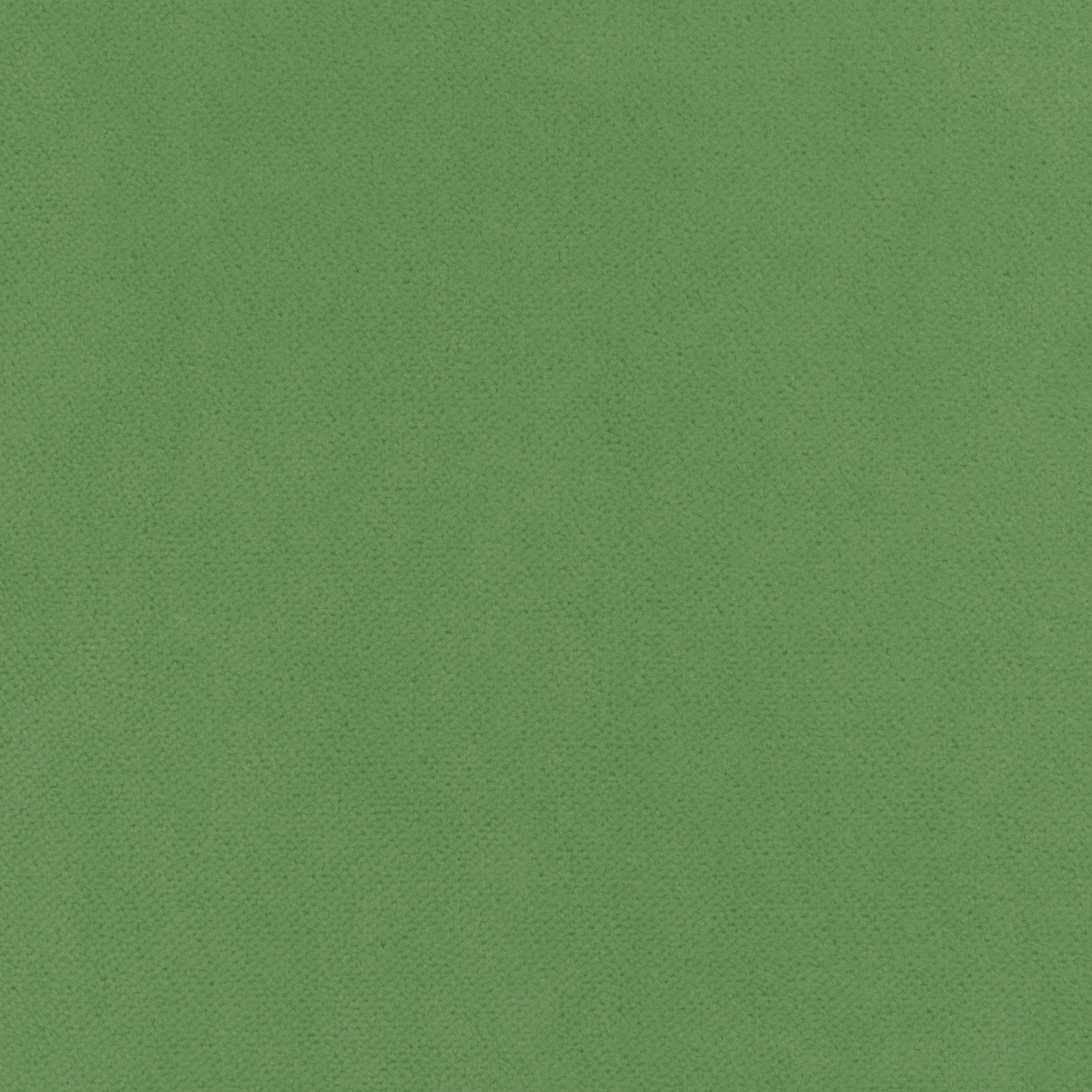 Club Velvet fabric in grass color - pattern number W7254 - by Thibaut in the Club Velvet collection