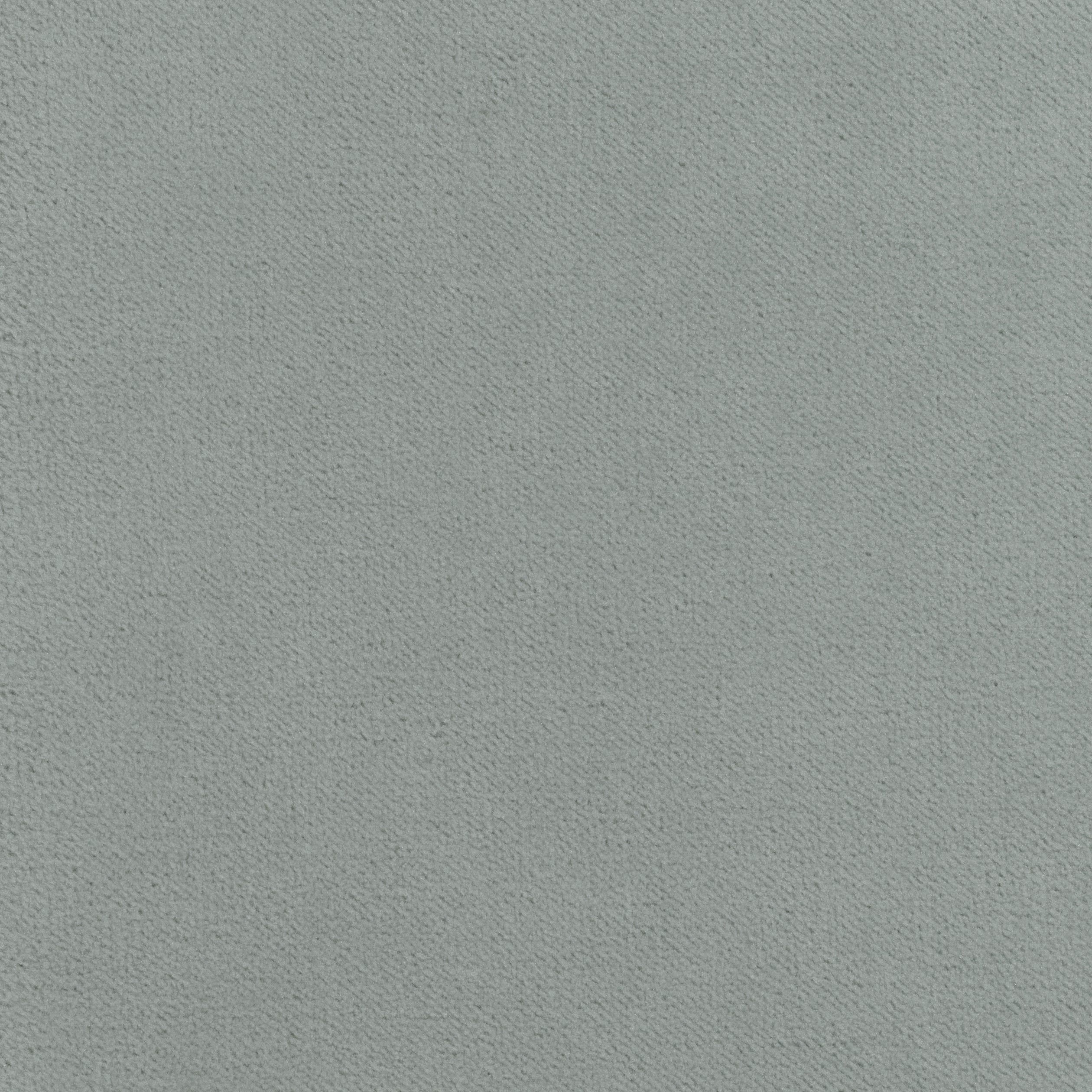 Club Velvet fabric in fog color - pattern number W7261 - by Thibaut in the Club Velvet collection
