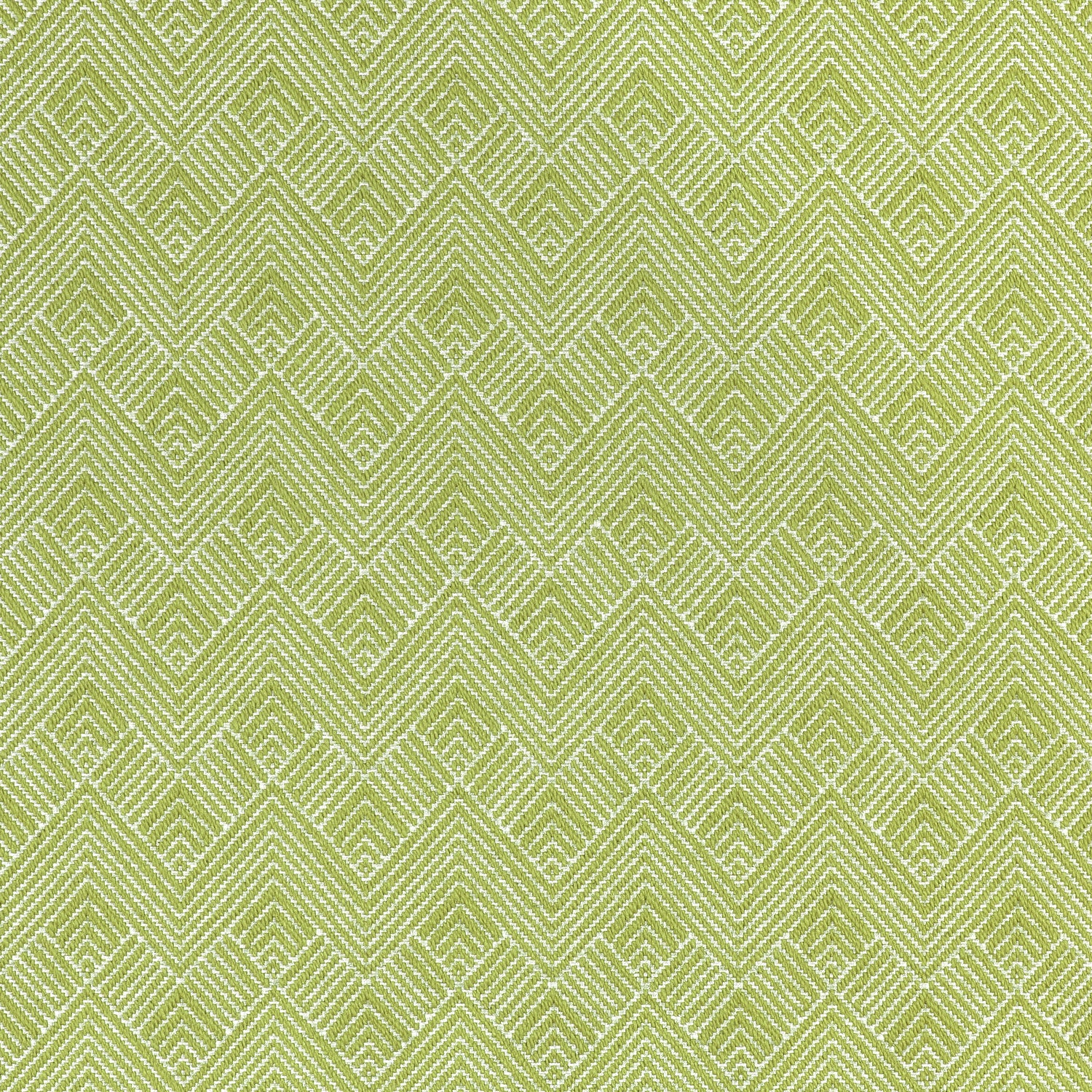 Maddox fabric in leaf color - pattern number W73330 - by Thibaut in the Nomad collection